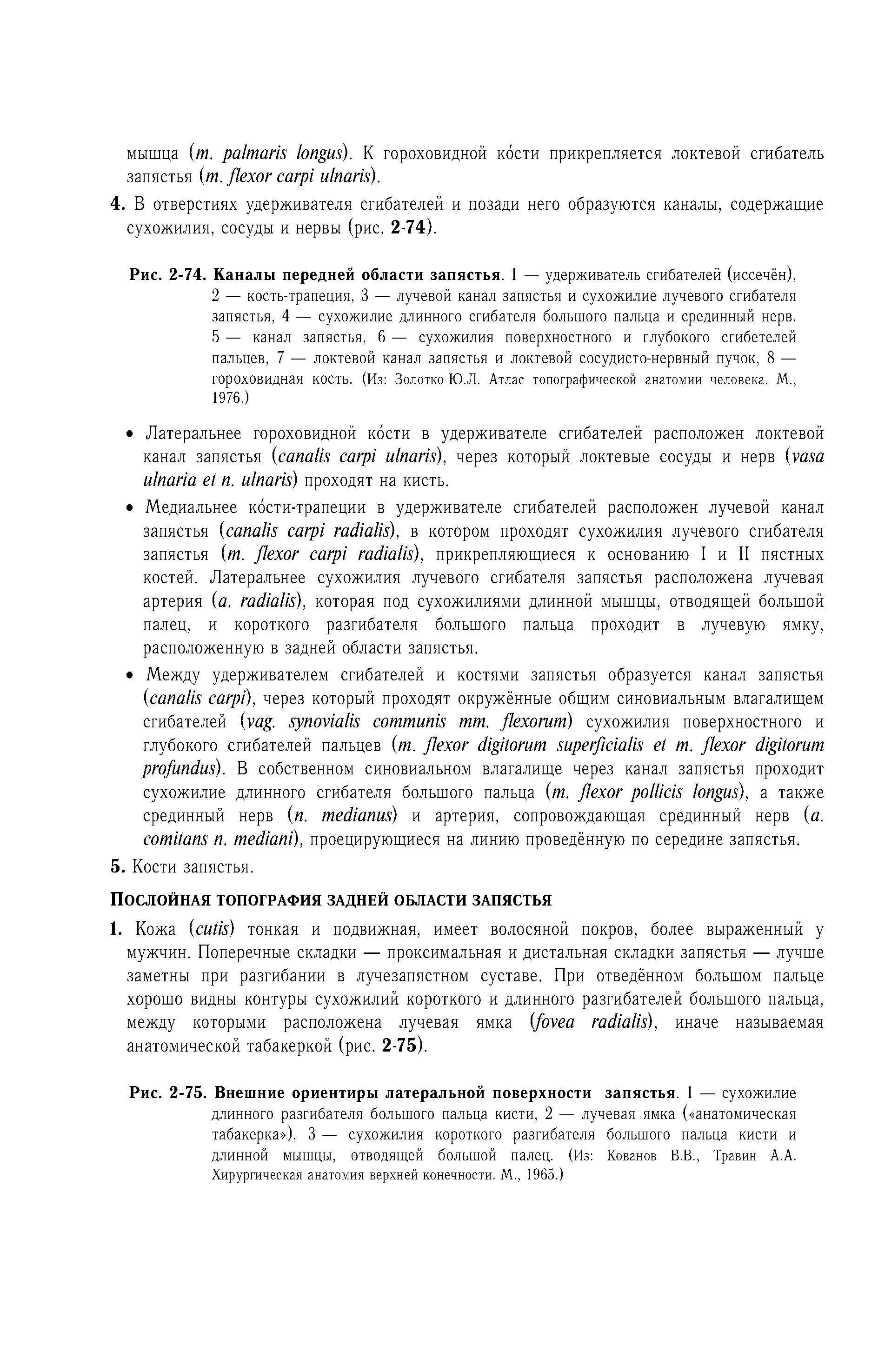 Рис. 2-74. Каналы передней области запястья. 1 — удерживатель сгибателей (иссечён),...