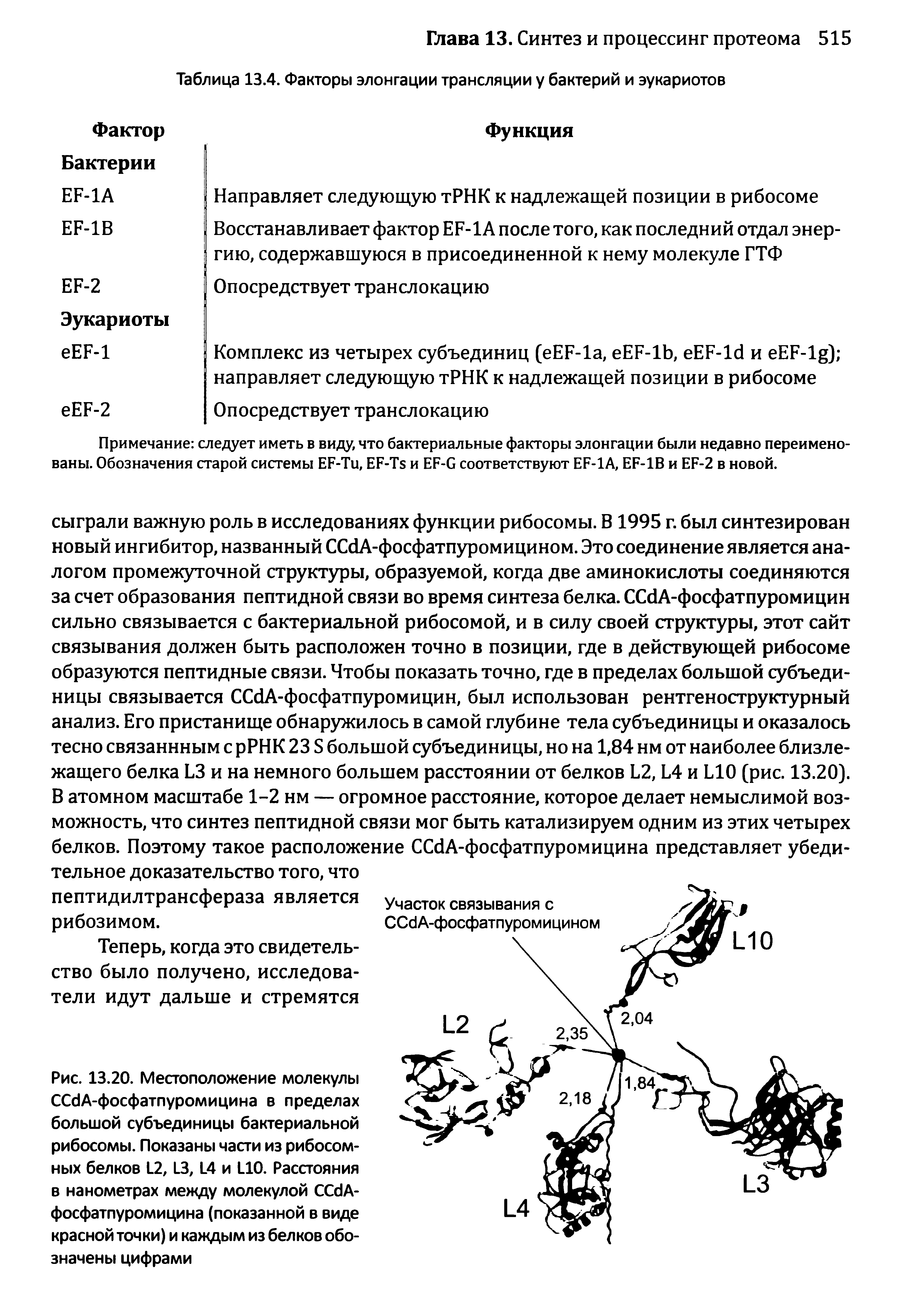 Таблица 13.4. Факторы элонгации трансляции у бактерий и эукариотов...