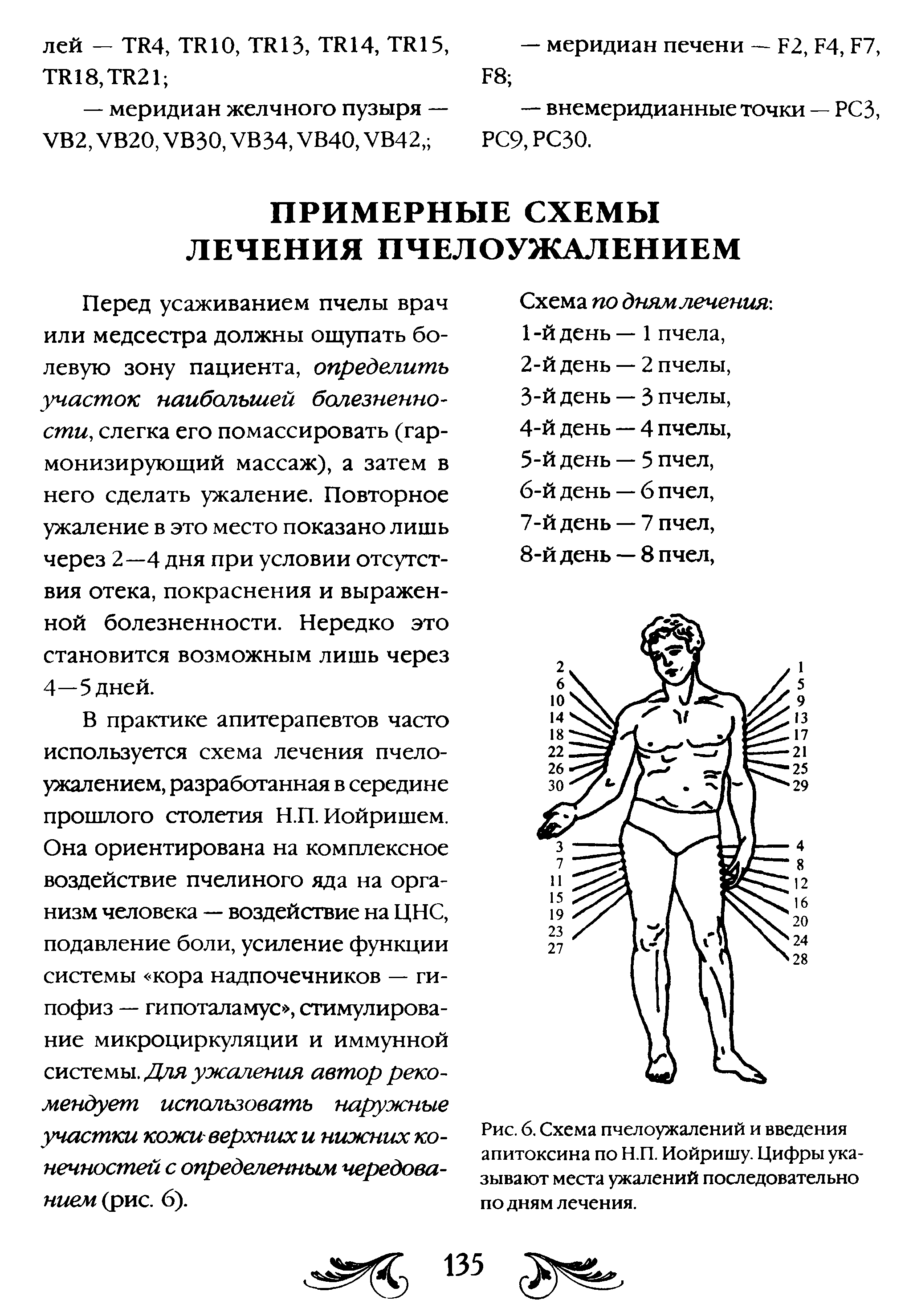 Рис. 6. Схема пчелоужалений и введения апитоксина по Н.П. Иойришу. Цифры указывают места ужалений последовательно по дням лечения.