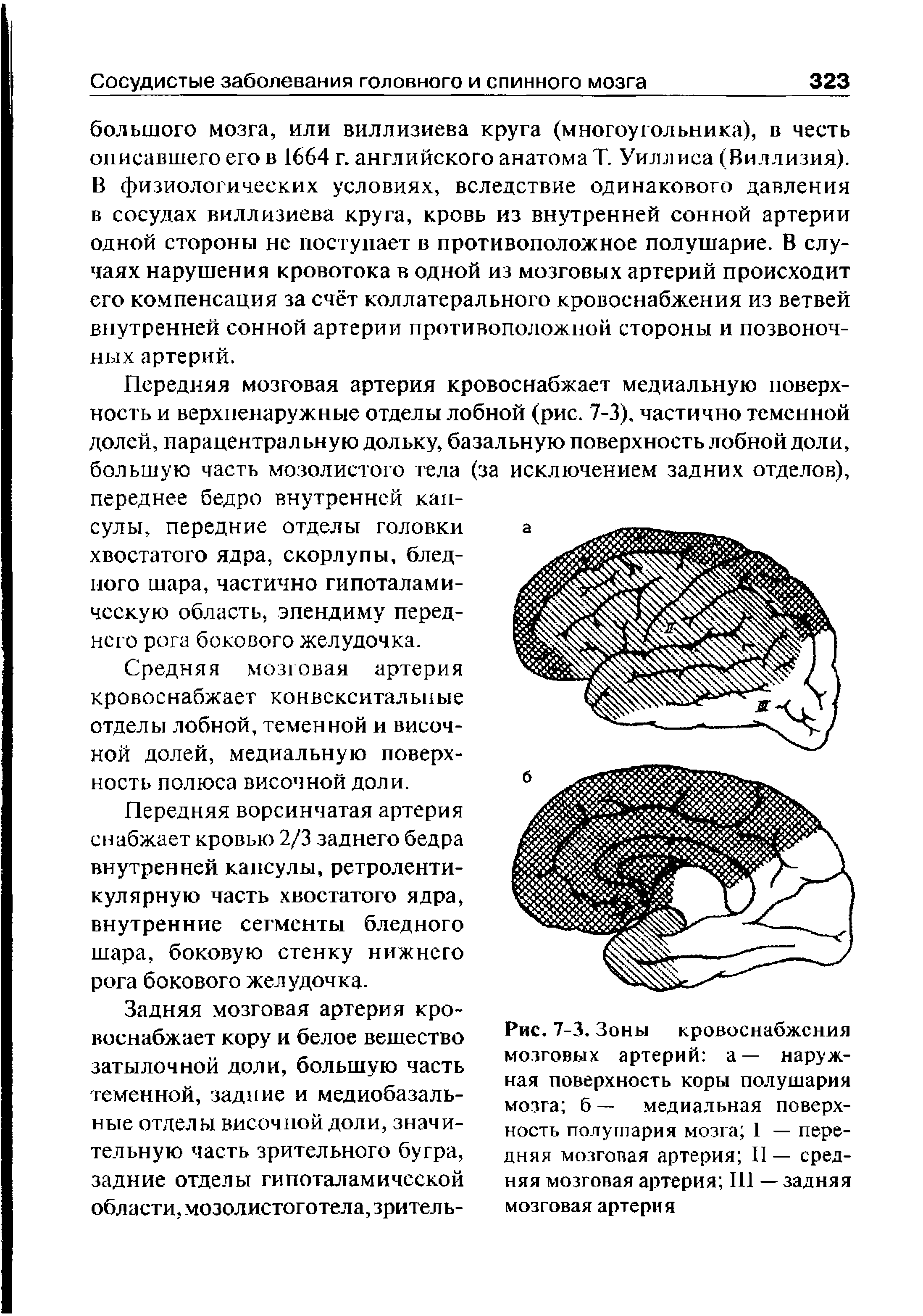 Рис. 7-3. Зоны кровоснабжения мозговых артерий а— наружная поверхность коры полушария мозга б — медиальная поверхность полушария мозга 1 — передняя мозговая артерия II — средняя мозговая артерия III — задняя мозговая артерия...