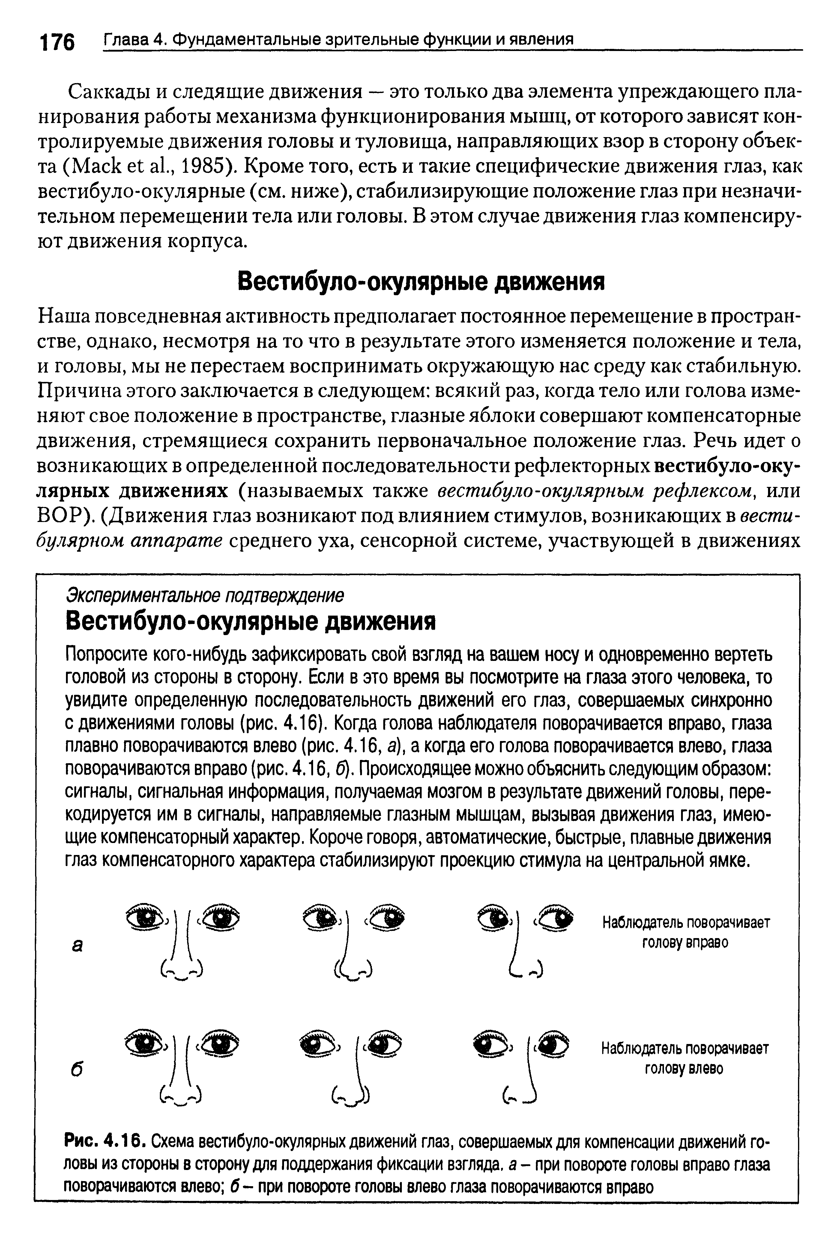 Рис. 4.16. Схема вестибулоокулярных движений глаз, совершаемых для компенсации движений головы из стороны в сторону для поддержания фиксации взгляда, а - при повороте головы вправо глаза поворачиваются влево б - при повороте головы влево глаза поворачиваются вправо...