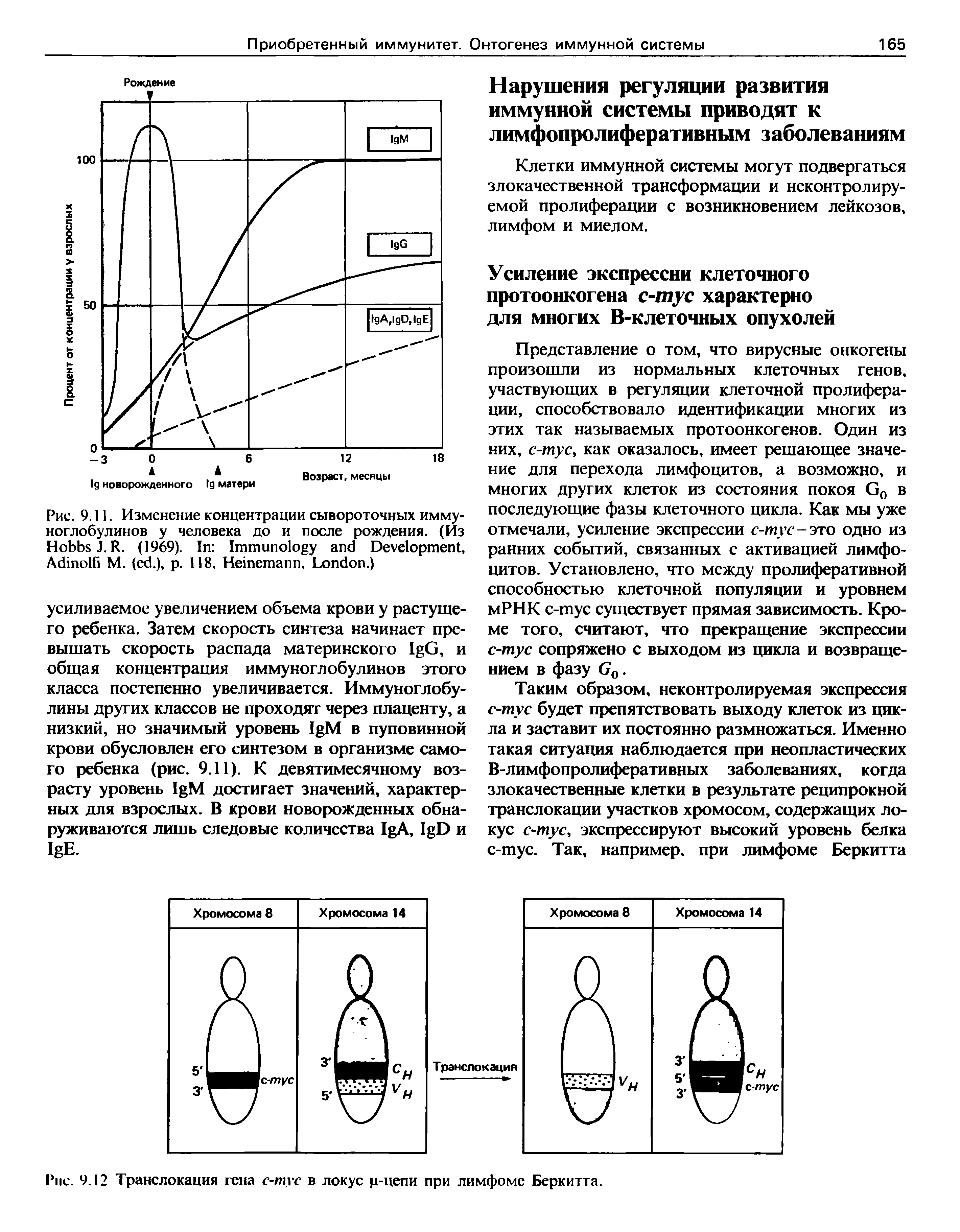 Рис. 9.12 Транслокация гена с-тус в локус ц-цепи при лимфоме Беркитта.