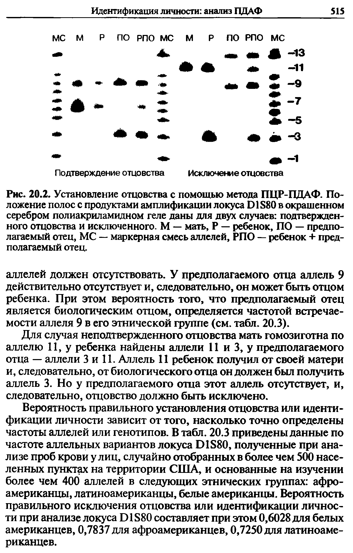 Рис. 20.2. Установление отцовства с помощью метода ПЦР-ПДАФ. Положение полос с продуктами амплификации локуса D1S80 в окрашенном серебром полиакриламидном геле даны для двух случаев подтвержденного отцовства и исключенного. М — мать, Р — ребенок, ПО — предполагаемый отец, MC — маркерная смесь аллелей, РПО — ребенок + предполагаемый отец.