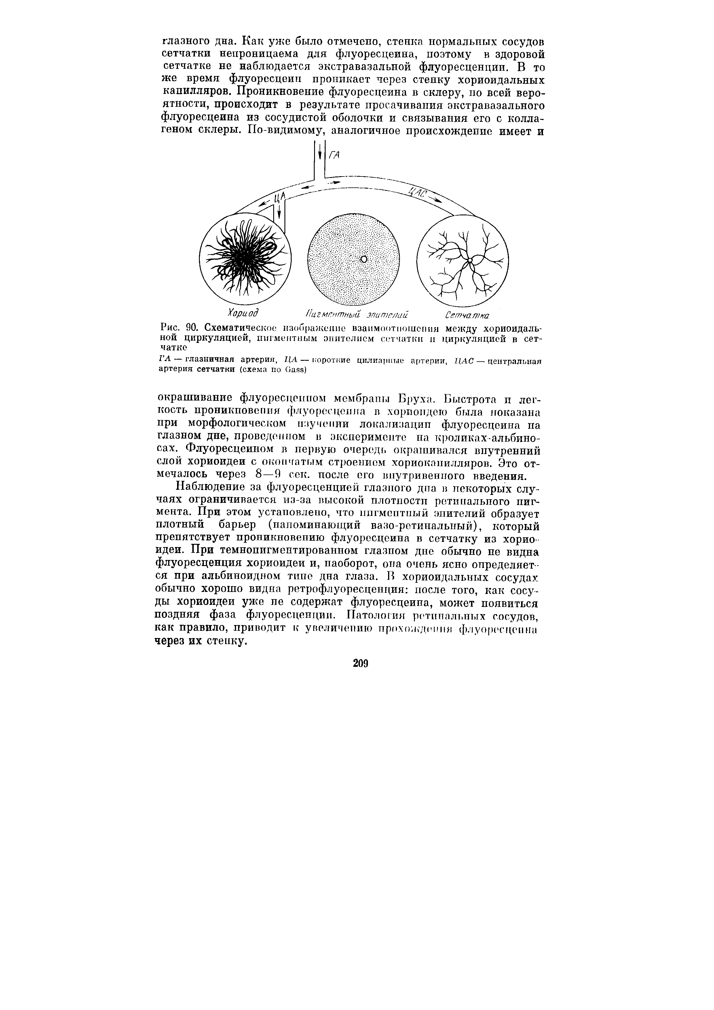 Рис. 90. Схематическое изображение взаимоотношения между хориоидальной циркуляцией, пигментным эпителием сетчатки и циркуляцией в сетчатке...