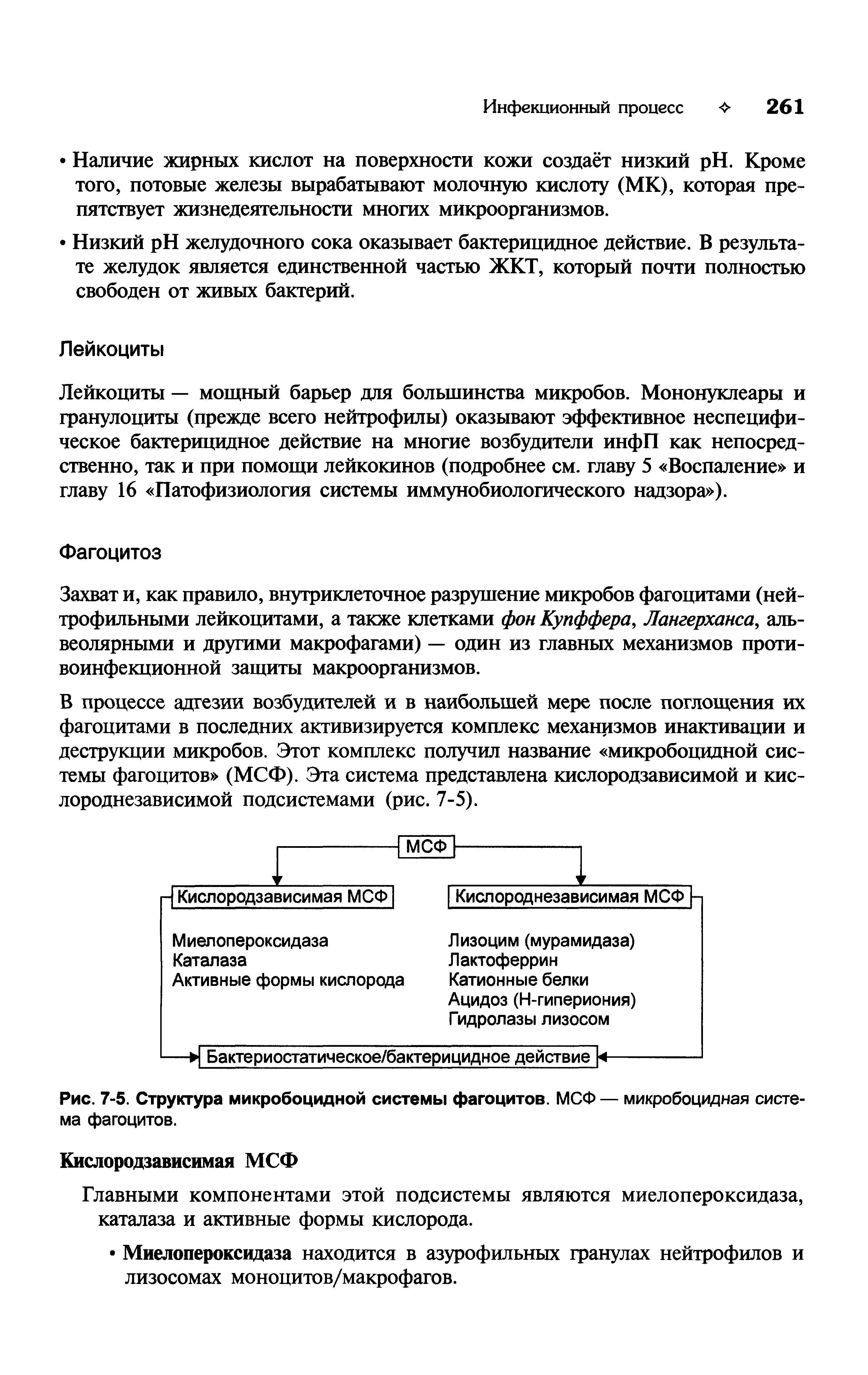 Рис. 7-5. Структура микробоцидной системы фагоцитов. МСФ — микробоцидная система фагоцитов.