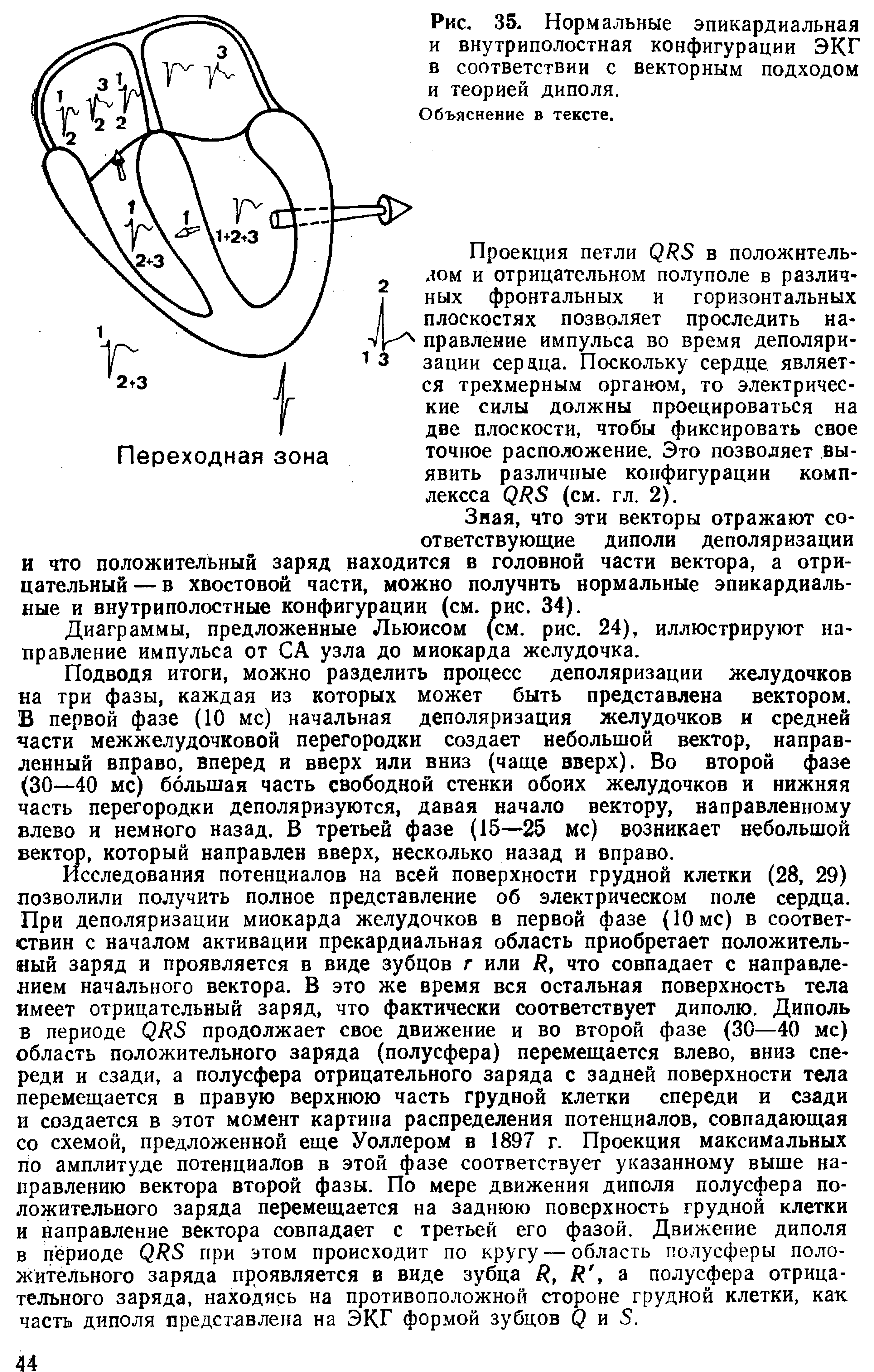 Рис. 35. Нормальные эпикардиальная и внутриполостная конфигурации ЭКГ в соответствии с векторным подходом и теорией диполя.