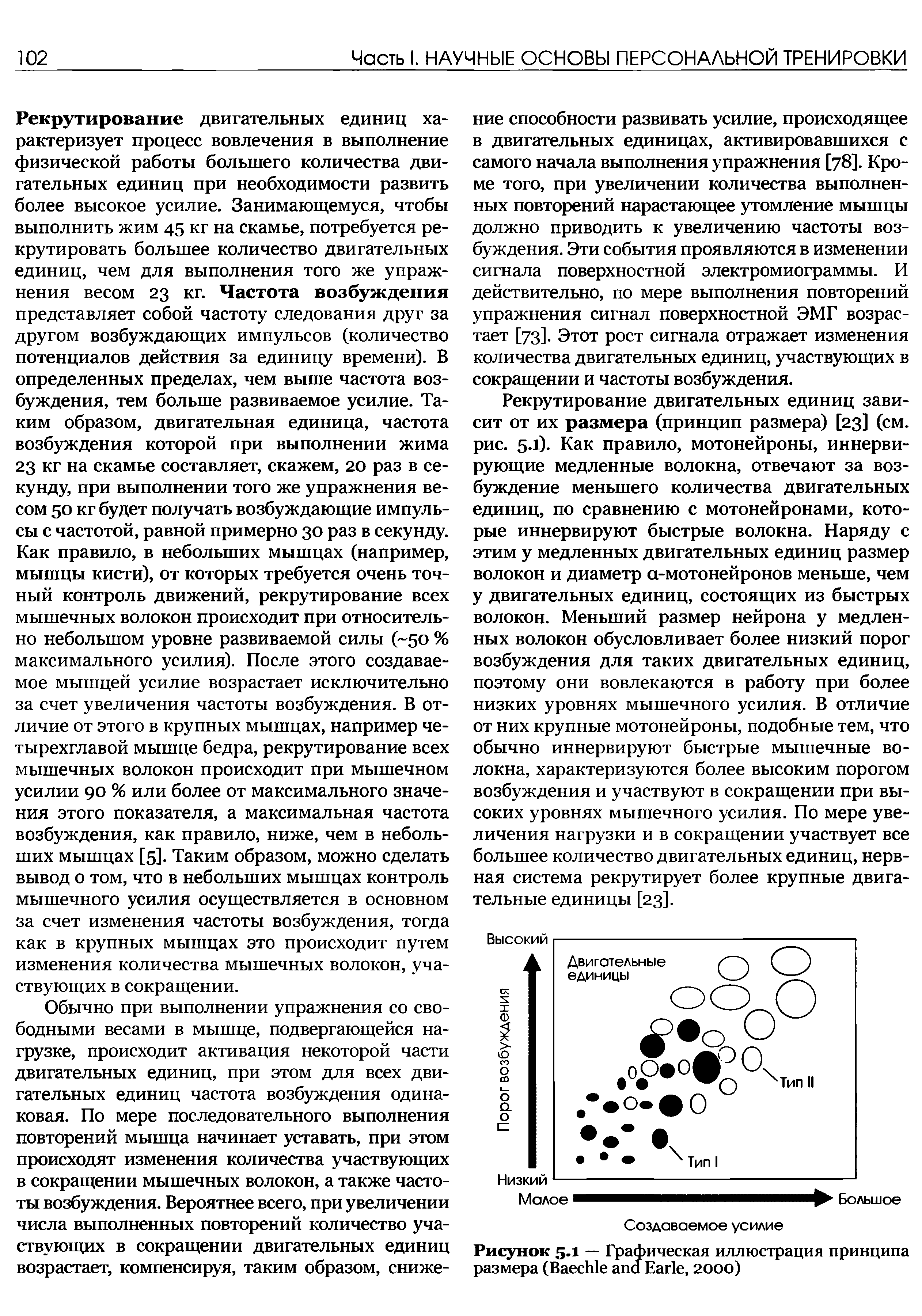 Рисунок 5.1 — Графическая иллюстрация принципа размера (B E , 2000)...