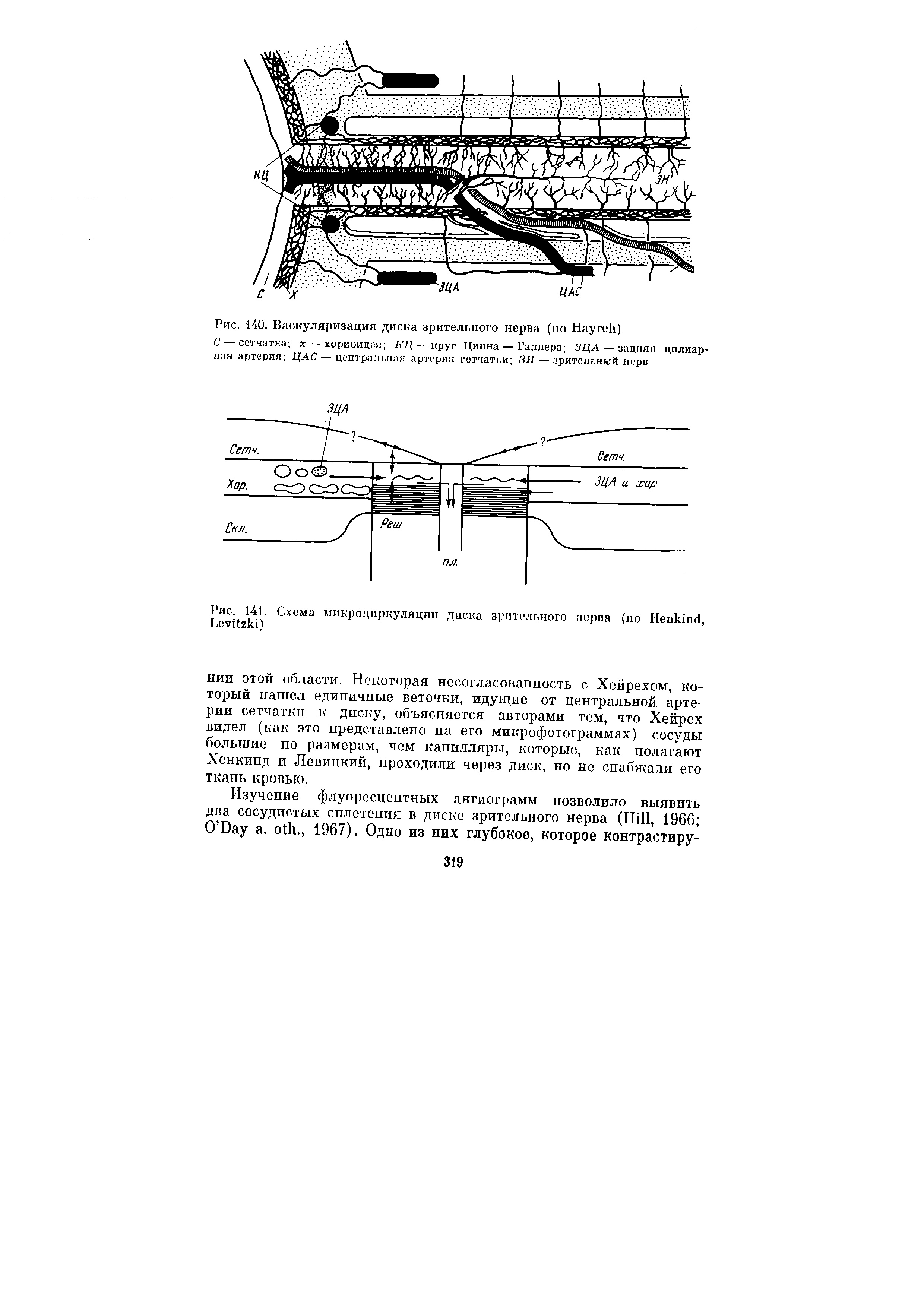 Рис. 141. Схема микроциркуляции диска зрительного нерва (по H , L )...