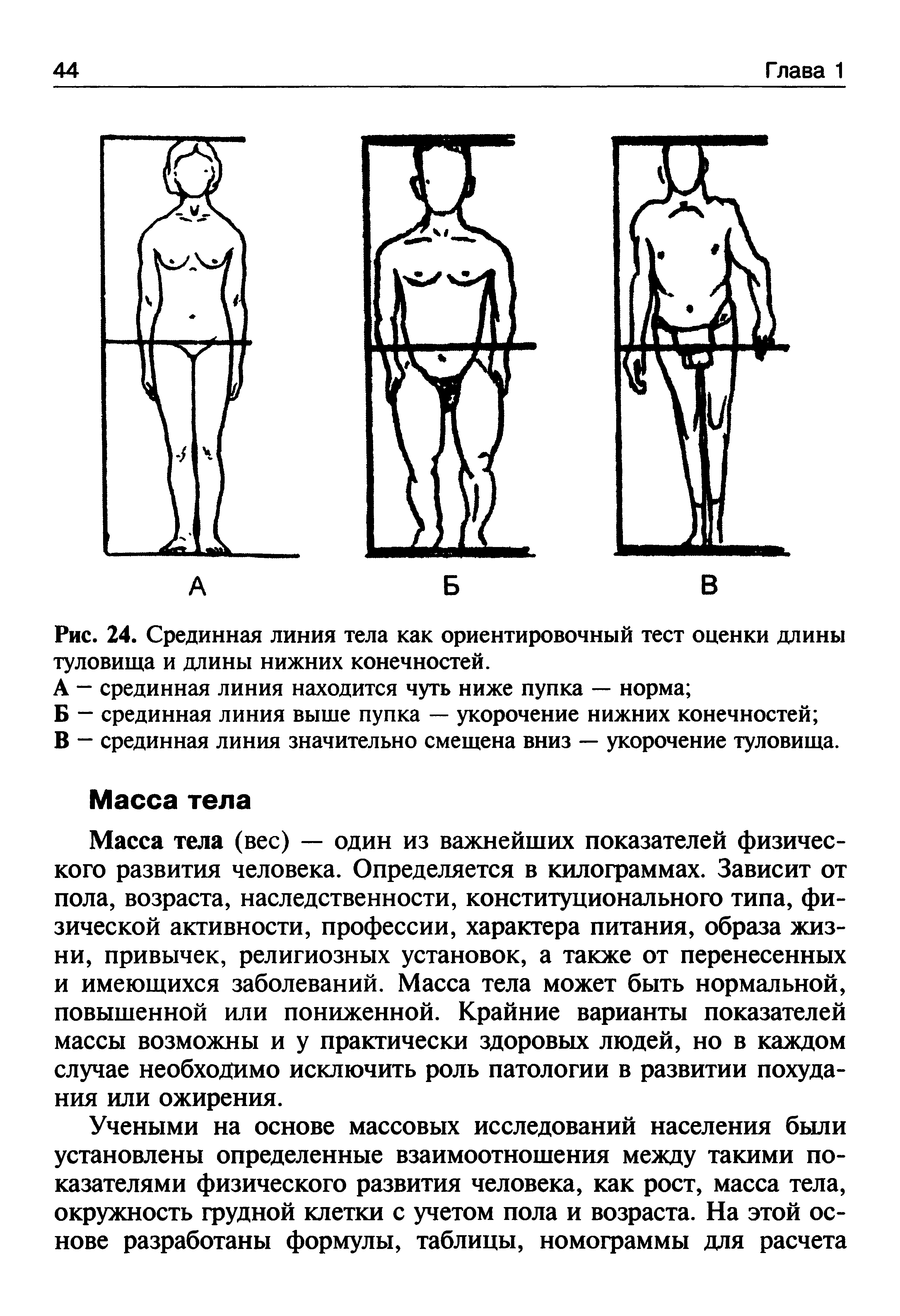 Рис. 24. Срединная линия тела как ориентировочный тест оценки длины туловища и длины нижних конечностей.