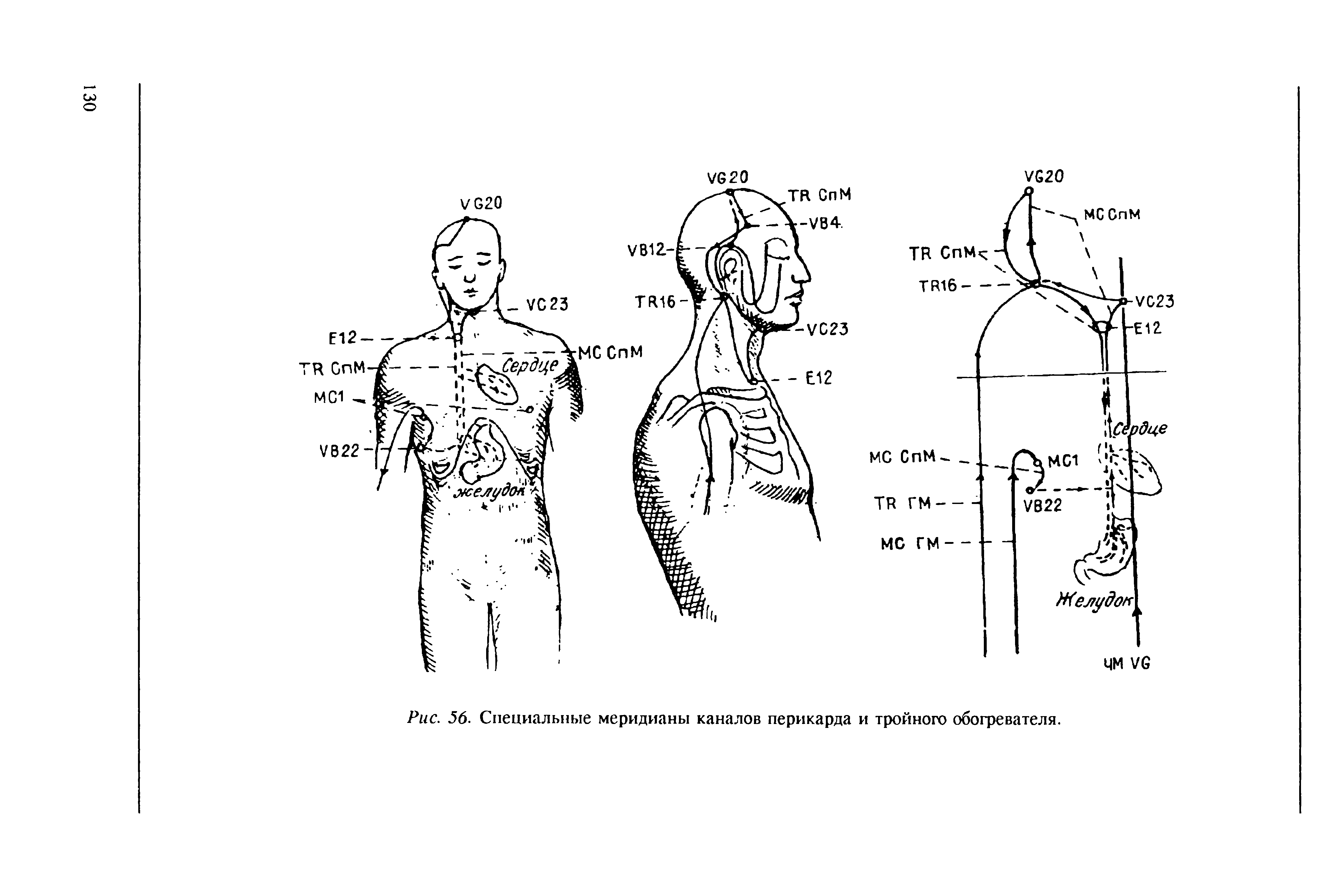 Рис. 56. Специальные меридианы каналов перикарда и тройного обогревателя.