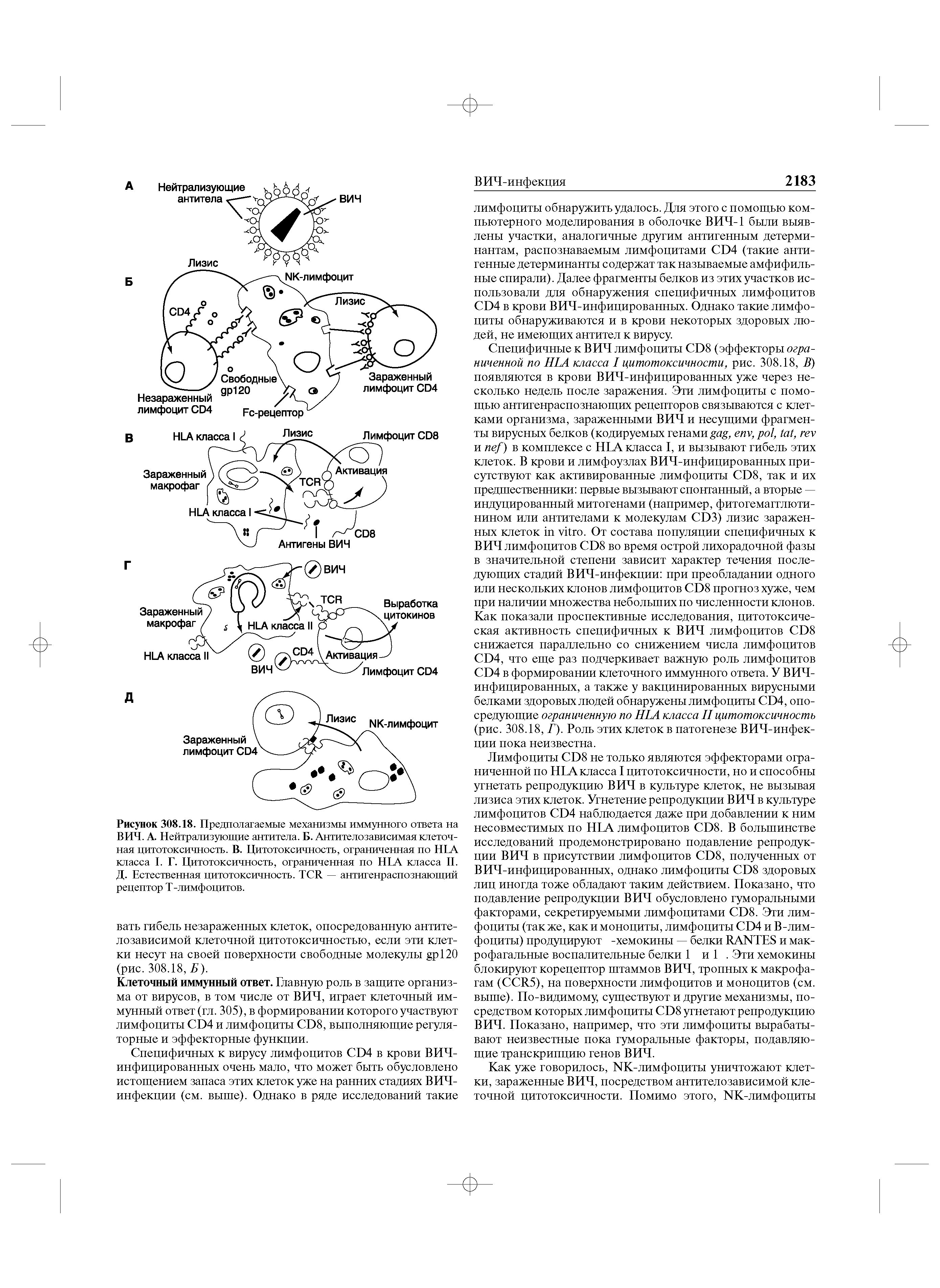 Рисунок 308.18. Предполагаемые механизмы иммунного ответа на ВИЧ. А. Нейтрализующие антитела. Б. Антителозависимая клеточная цитотоксичность. В. Цитотоксичность, ограниченная по HLA класса I. Г. Цитотоксичность, ограниченная по HLA класса II. Д. Естественная цитотоксичность. TCR — антигенраспознающий рецептор Т-лимфоцитов.