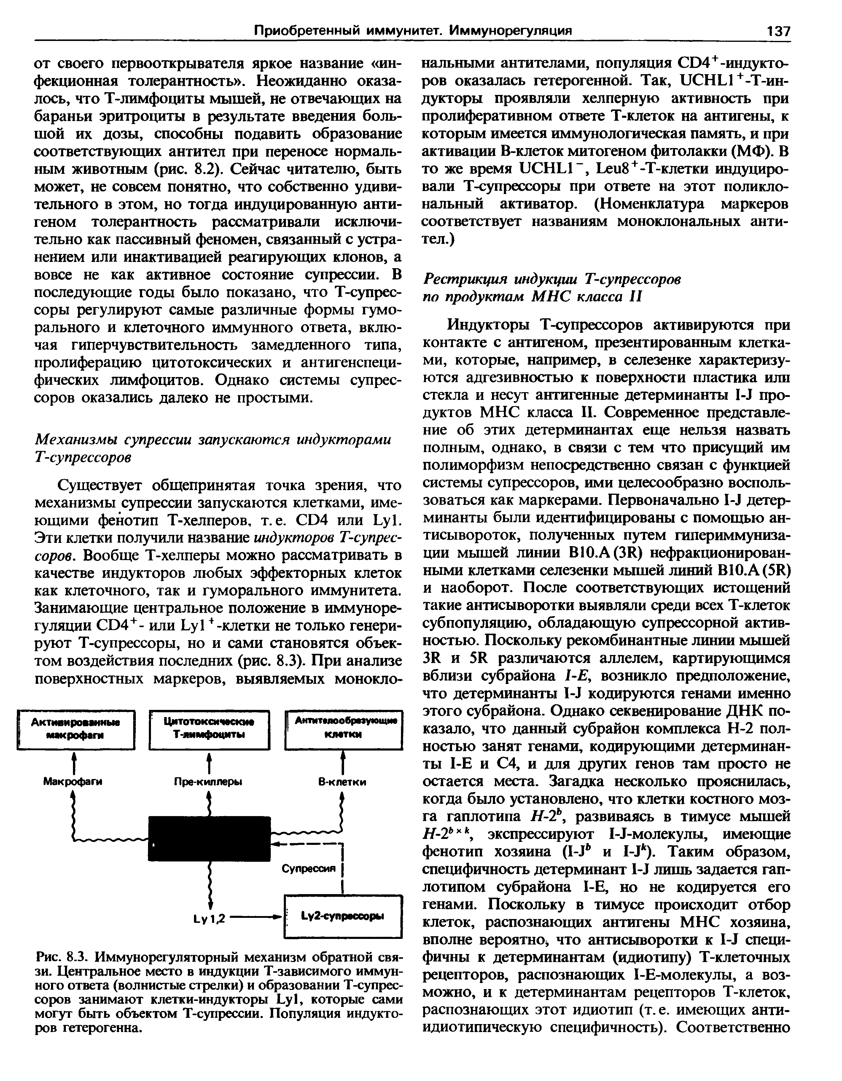 Рис. 8.3. Иммунорегуляторный механизм обратной связи. Центральное место в индукции Т-зависимого иммунного ответа (волнистые стрелки) и образовании Т-супрес-соров занимают клетки-индукторы Ьу1, которые сами могут быть объектом Т-супрессии. Популяция индукторов гетерогенна.