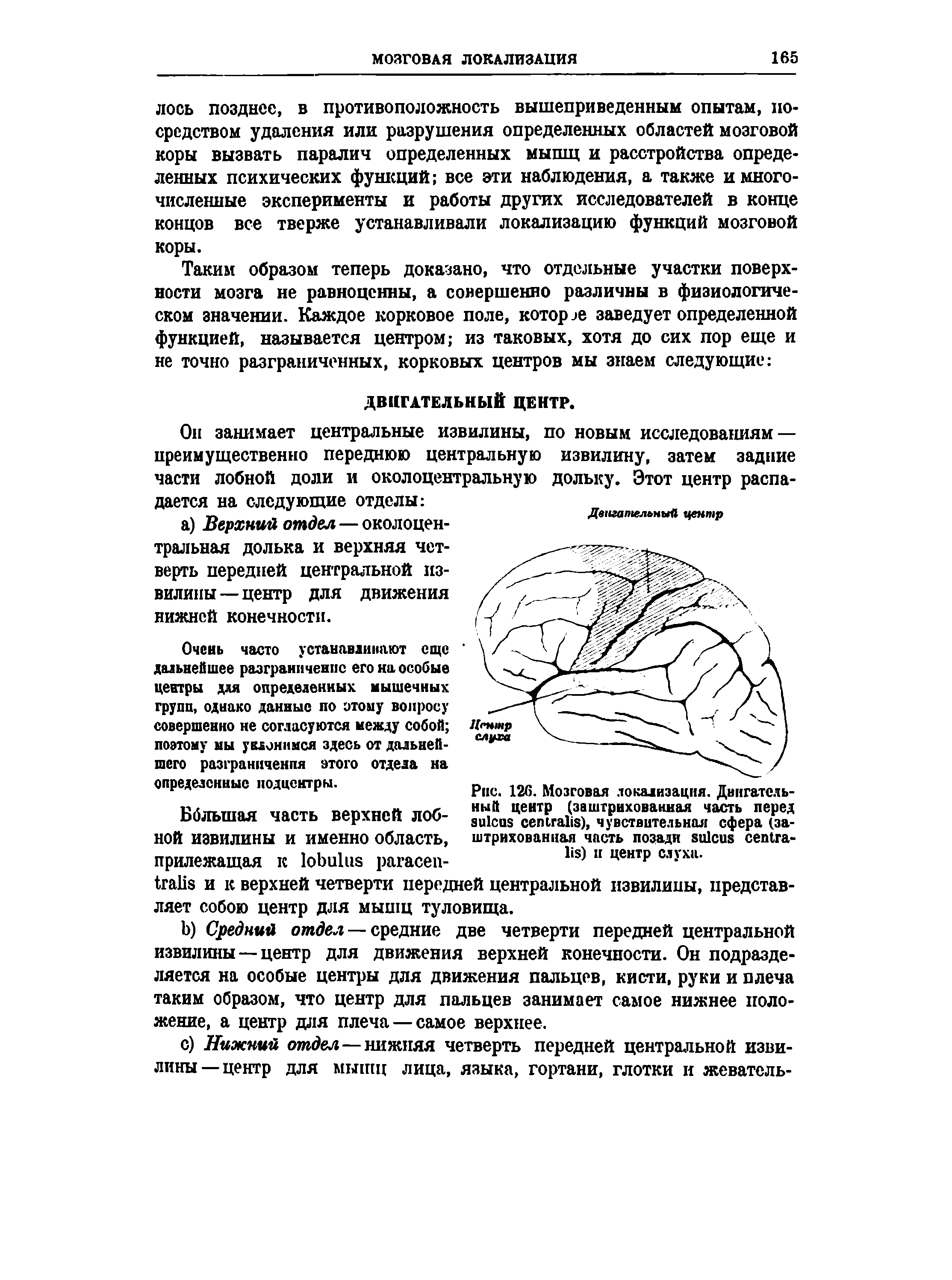 Рис. 126. Мозговая локализация. Двигательный центр (заштрихованная часть перед ), чувствительная сфера (заштрихованная часть позади ) и центр слухи.