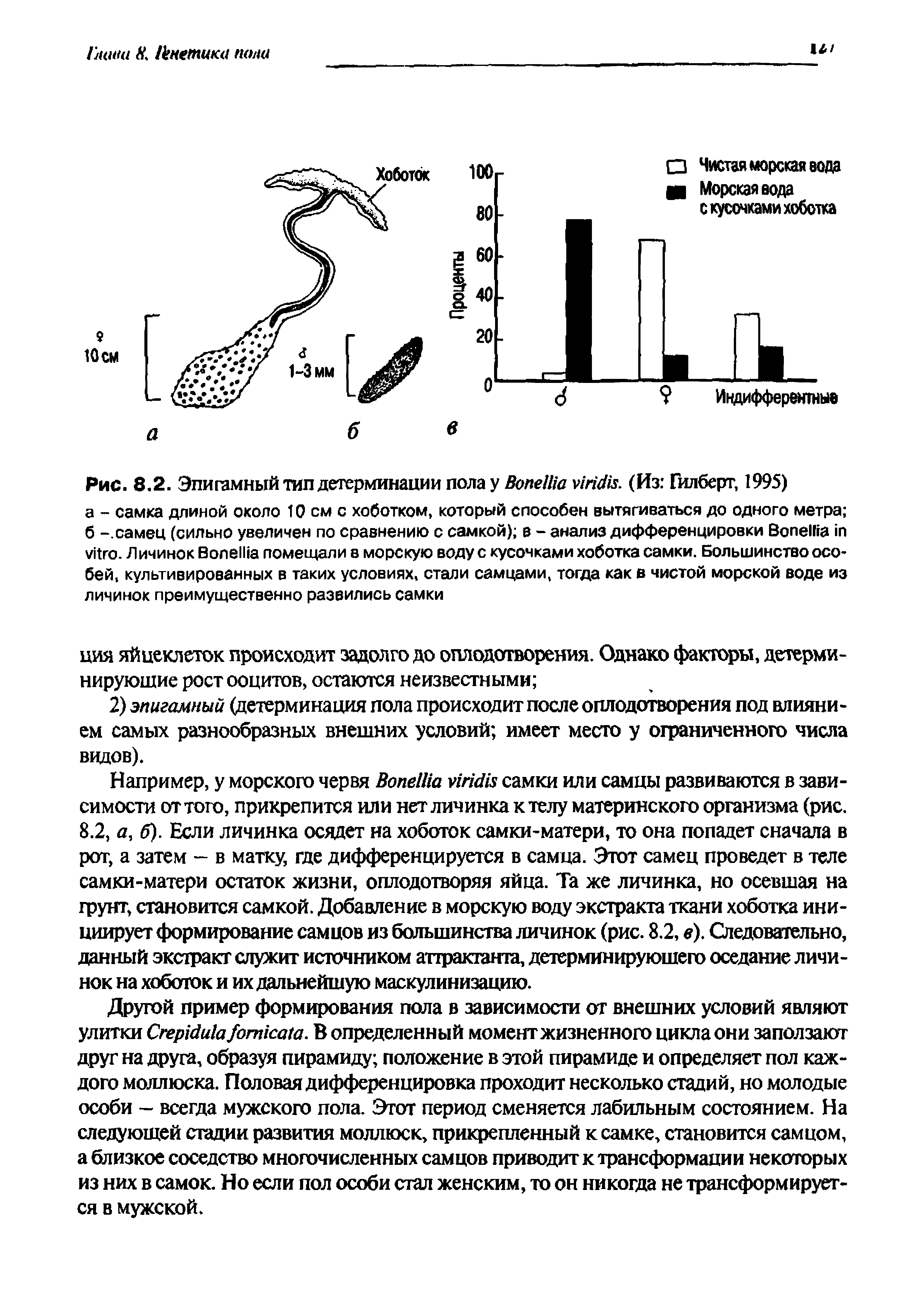 Рис. 8.2. Эпигамный тип детерминации пола у B . (Из Гилберт, 1995)...