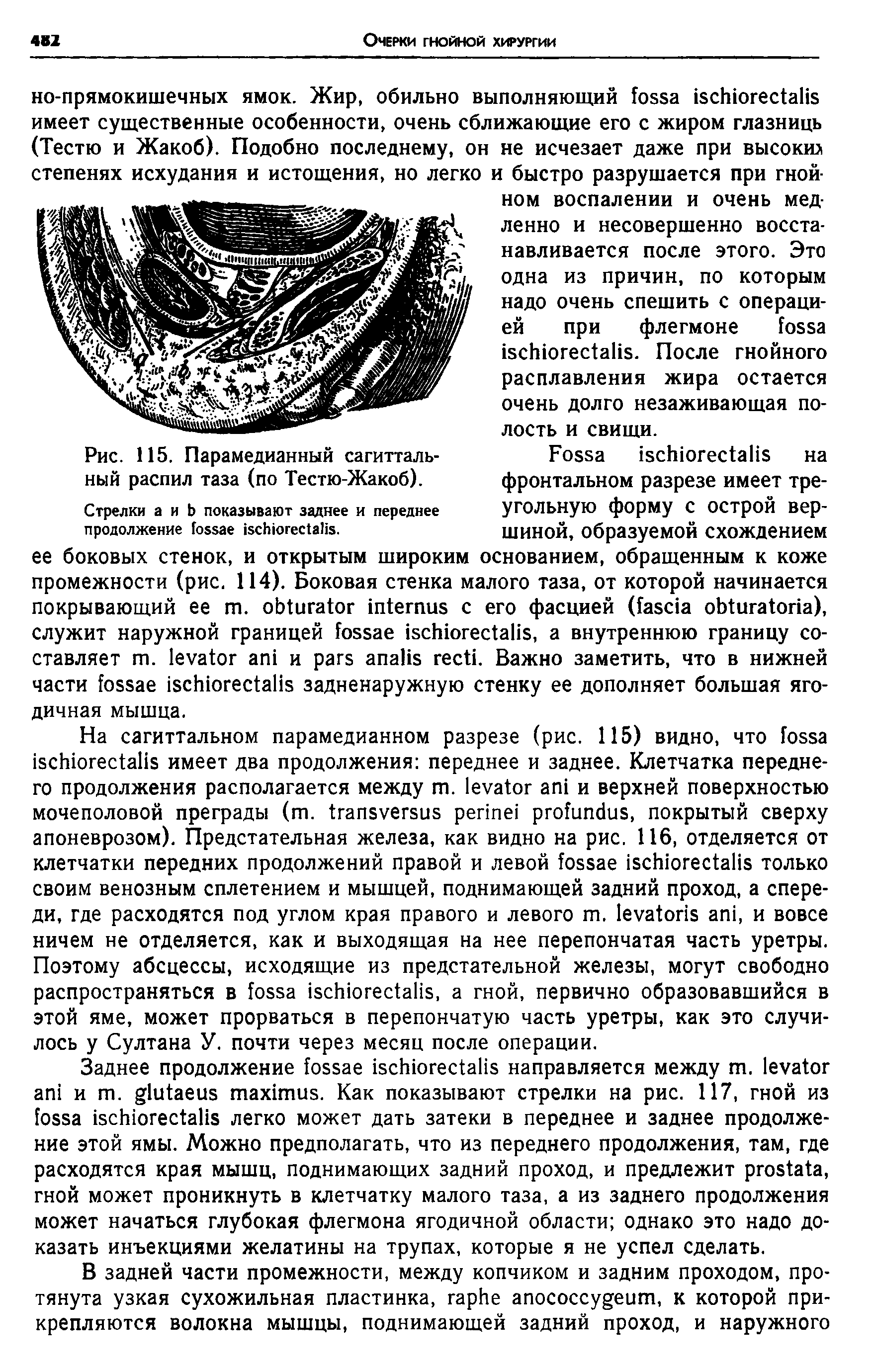 Рис. 115. Парамедианный сагиттальный распил таза (по Тестю-Жакоб).