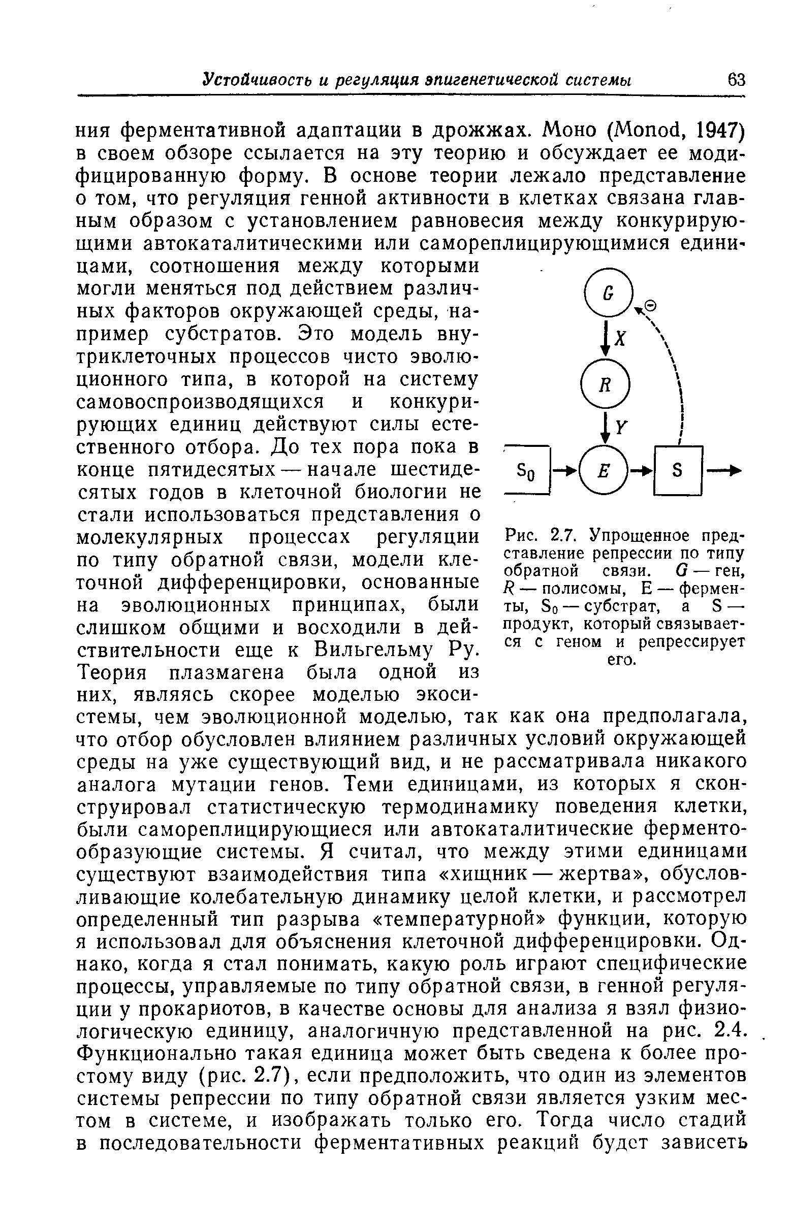 Рис. 2.7. Упрощенное представление репрессии по типу обратной связи, б — ген, Я — полисомы, Е — ферменты, 50 — субстрат, а Э — продукт, который связывается с геном и репрессирует его.