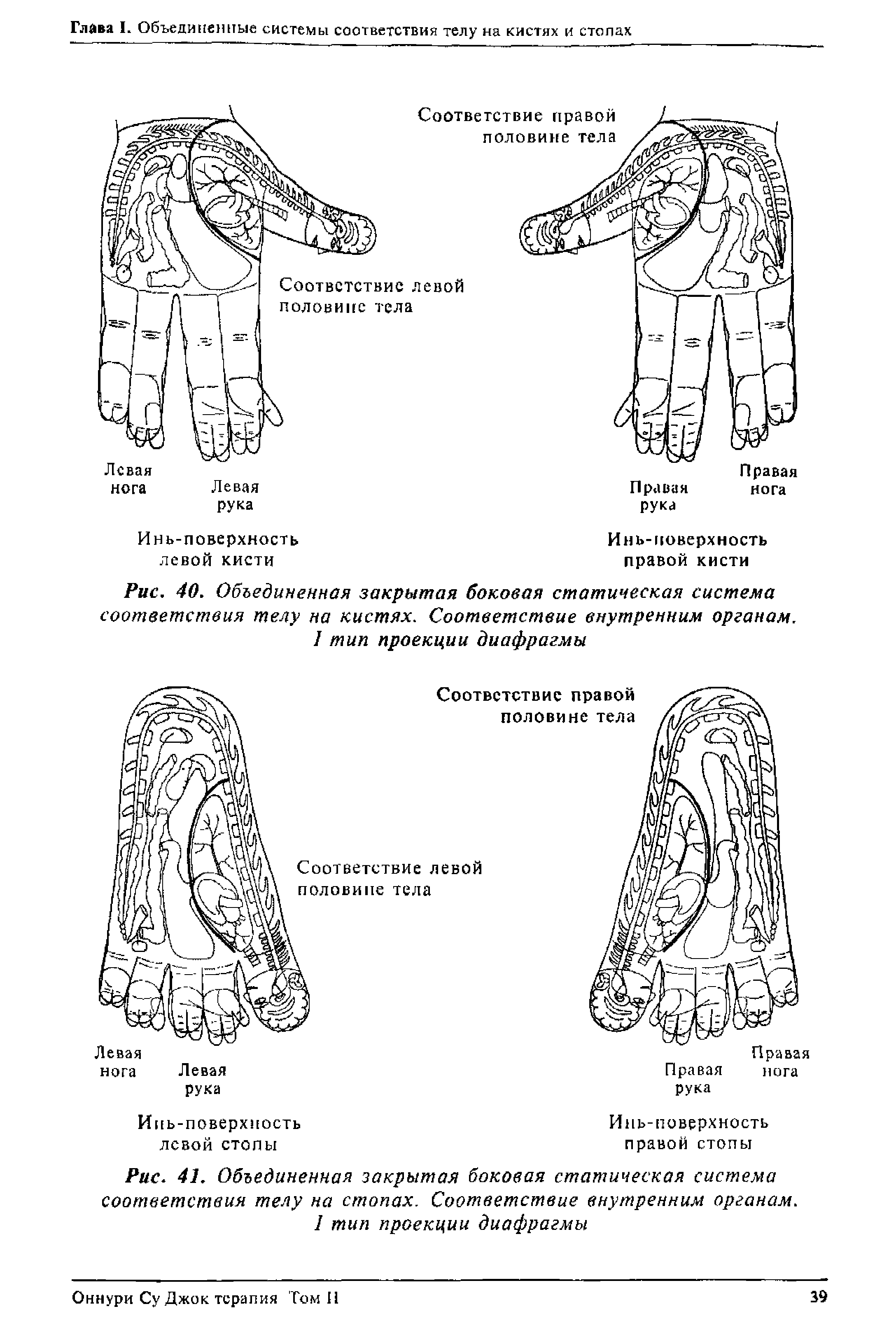 Рис. 41. Объединенная закрытая боковая статическая система соответствия телу на стопах. Соответствие внутренним органам. 1 тип проекции диафрагмы...