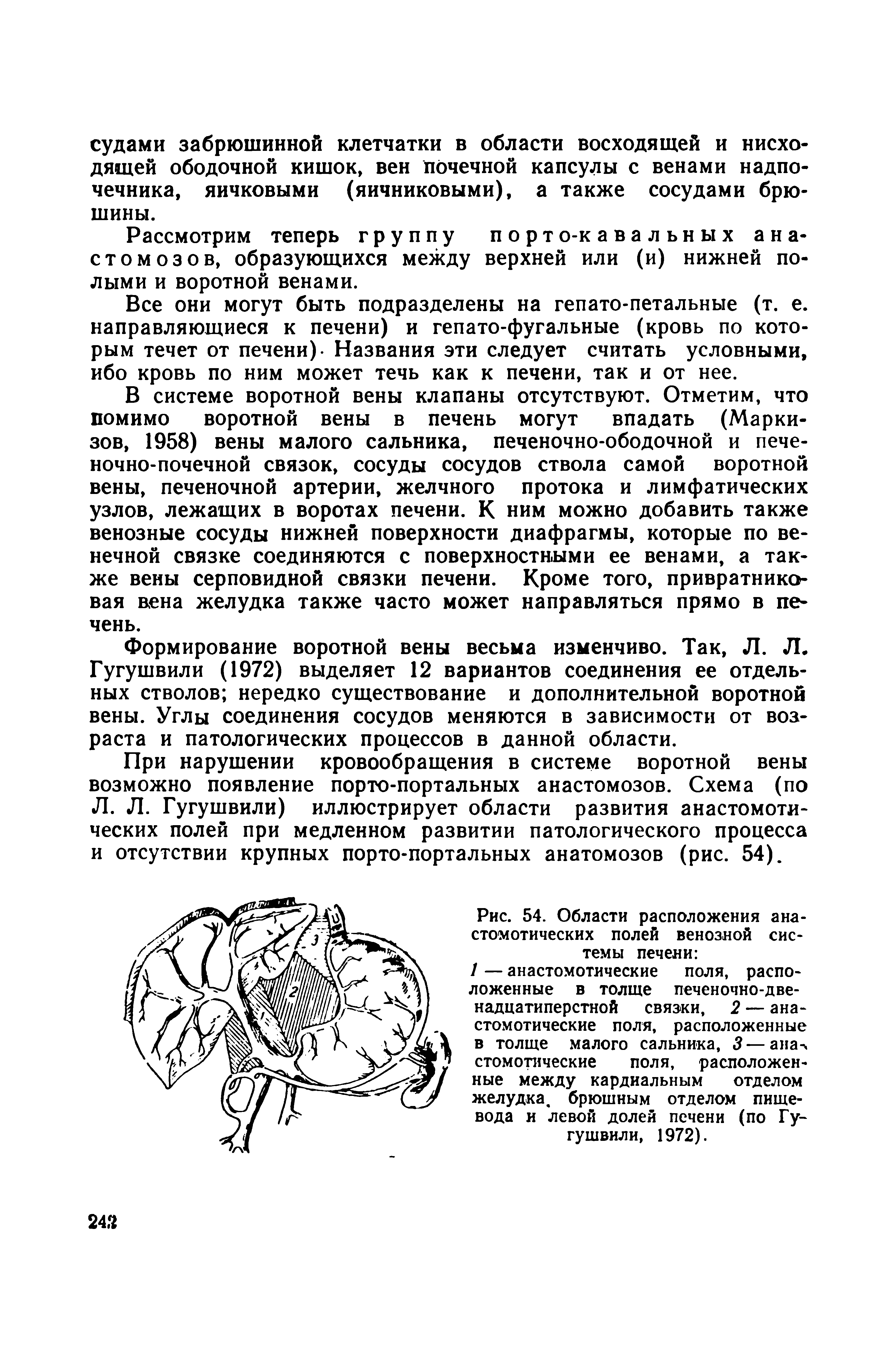 Рис. 54. Области расположения анастомотических полей венозной системы печени ...