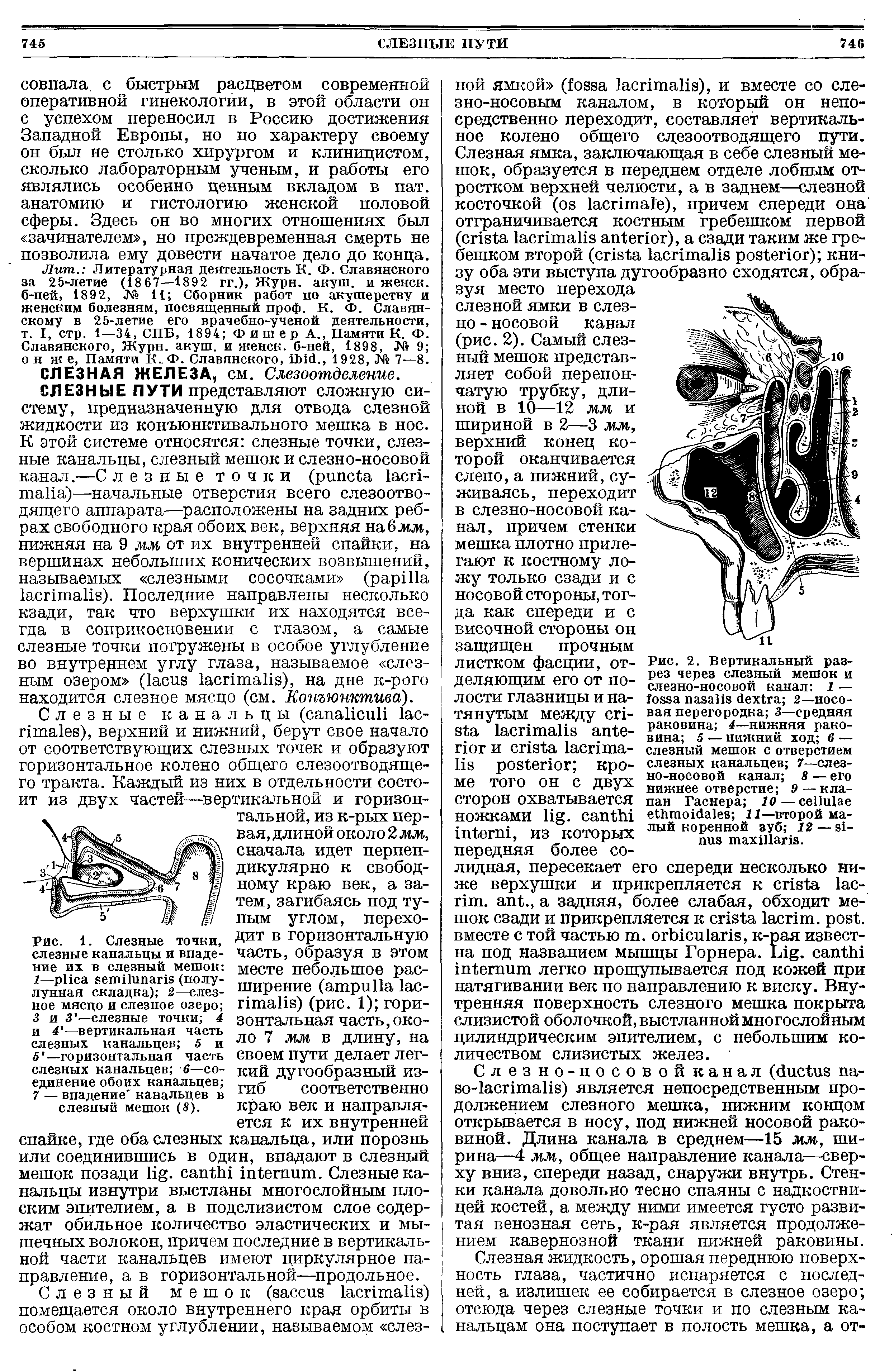 Рис. 1. Слезные точки, слезные канальцы и впадение их в слезный мешок 1— (полулунная складка) 2—слезное мясцо и слезное озеро 3 и 3 —слезные точки 4 и 4 —вертикальная часть слезных канальцев 5 и 6 —горизонтальная часть слезных канальцев -6—соединение обоих канальцев 7 — впадение канальцев в слезный мешок (S).