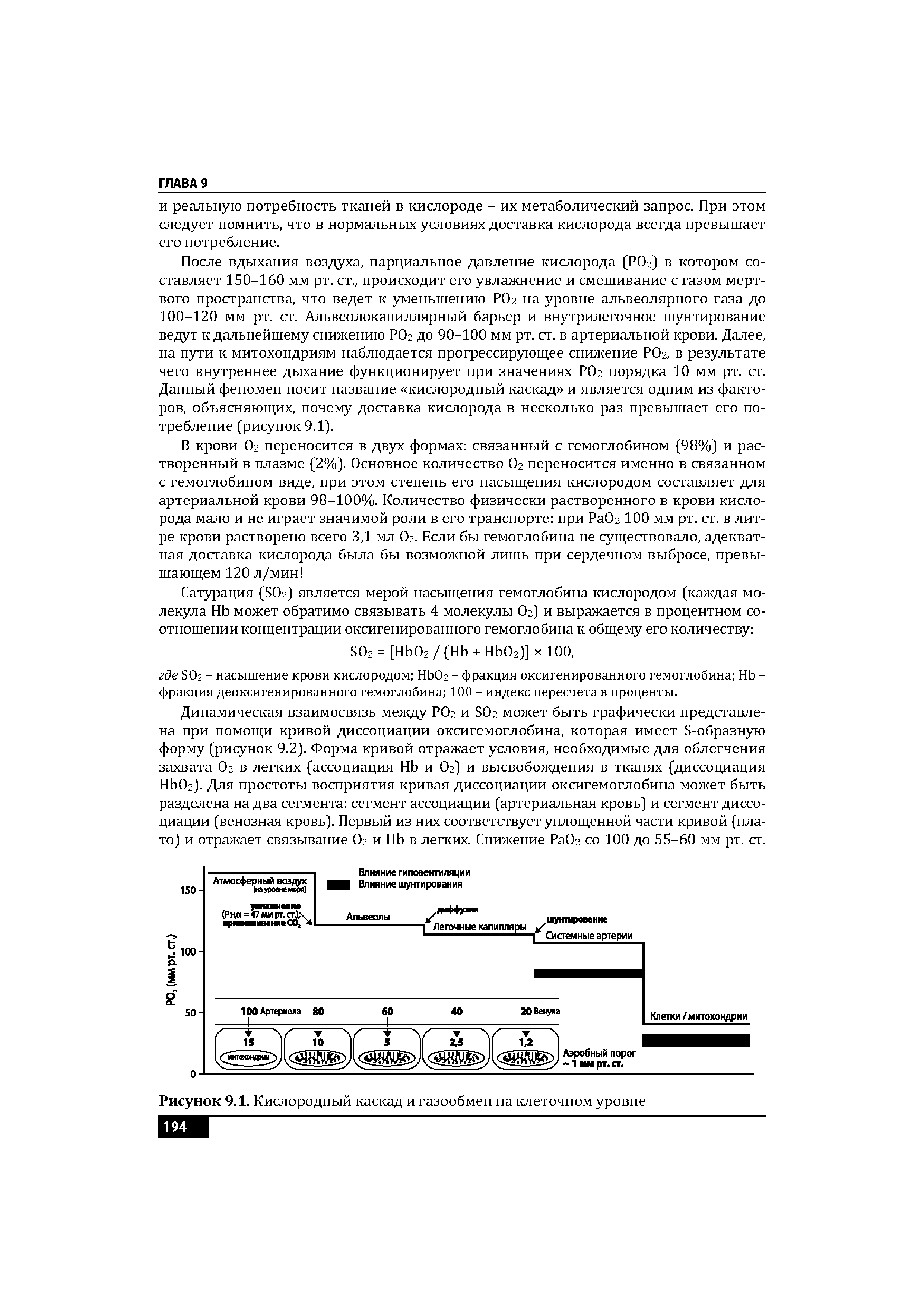 Рисунок 9.1. Кислородный каскад и газообмен на клеточном уровне...