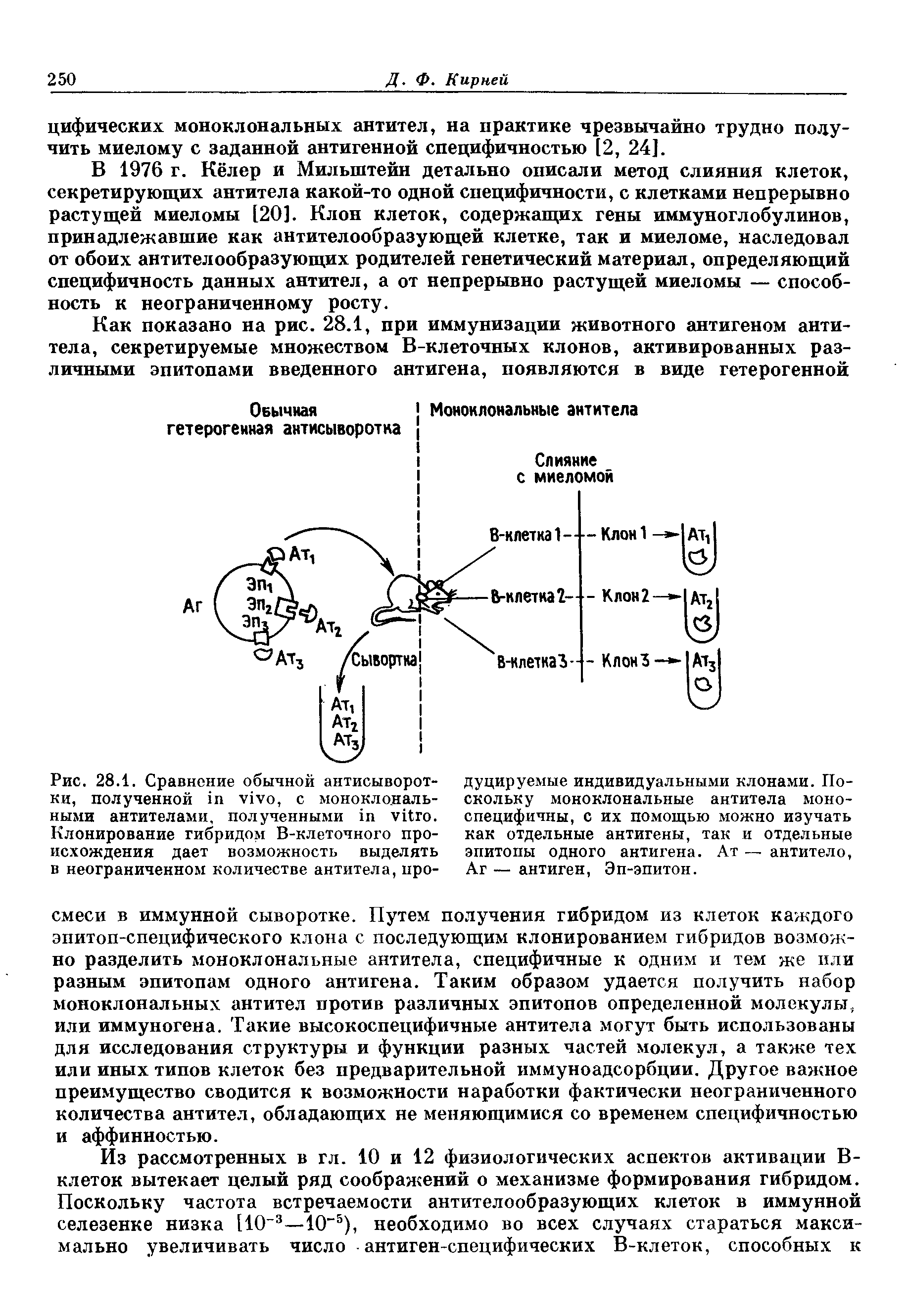 Рис. 28.1. Сравнение обычной антисыворотки, полученной , с моноклональными антителами, полученными . Клонирование гибридом В-клеточного происхождения дает возможность выделять в неограниченном количестве антитела, про-...