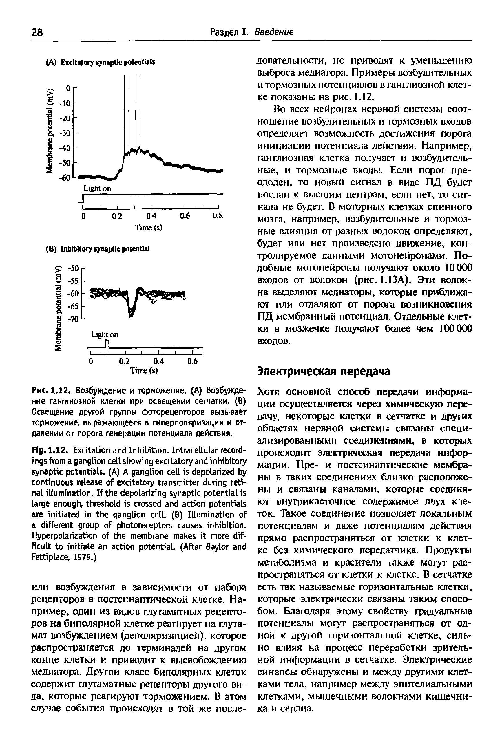 Рис. 1.12. Возбуждение и торможение. (А) Возбуждение ганглиозной клетки при освещении сетчатки. (В) Освещение другой группы фоторецепторов вызывает торможение, выражающееся в гиперполяризации и отдалении от порога генерации потенциала действия.