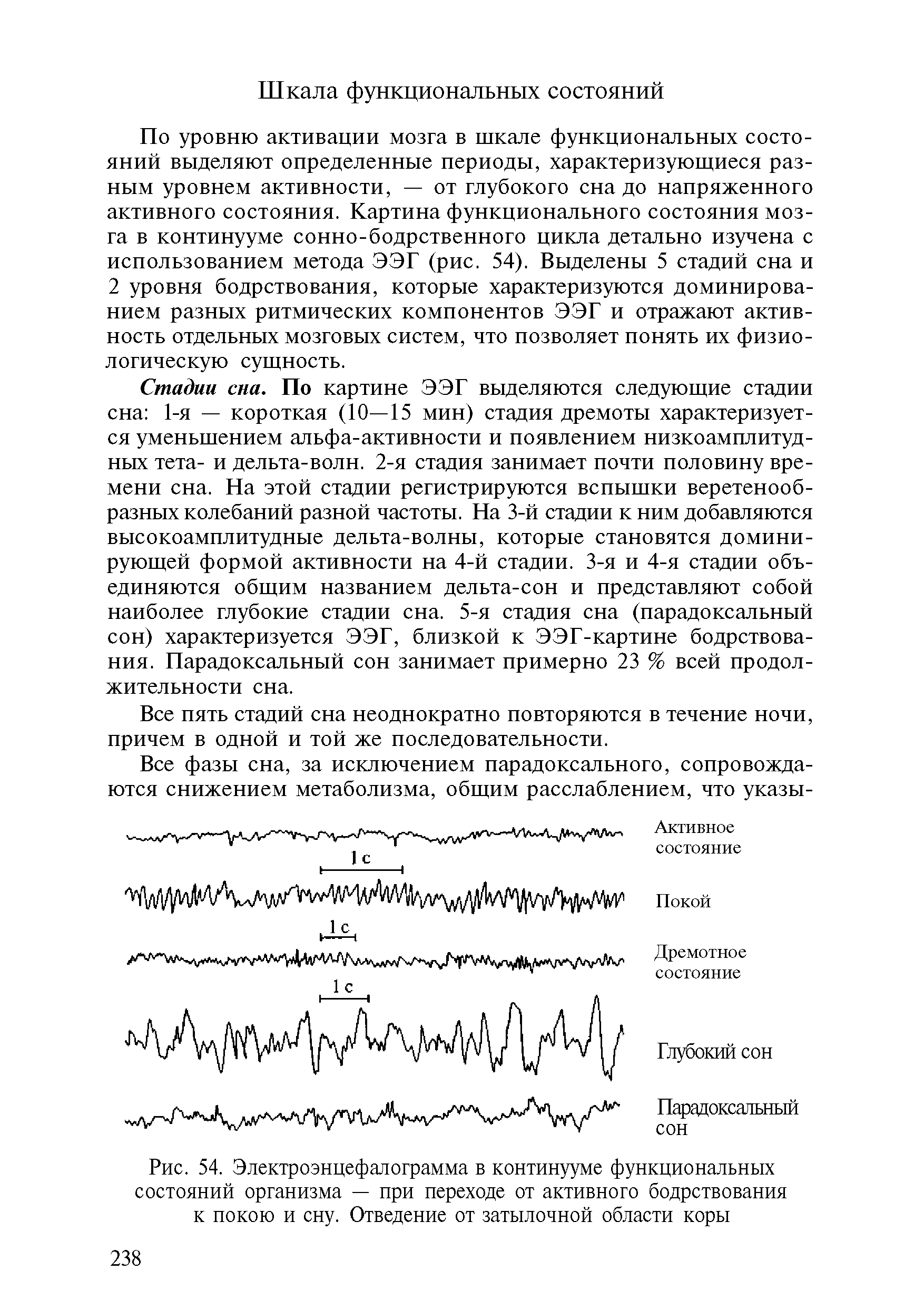 Рис. 54. Электроэнцефалограмма в континууме функциональных состояний организма — при переходе от активного бодрствования к покою и сну. Отведение от затылочной области коры...