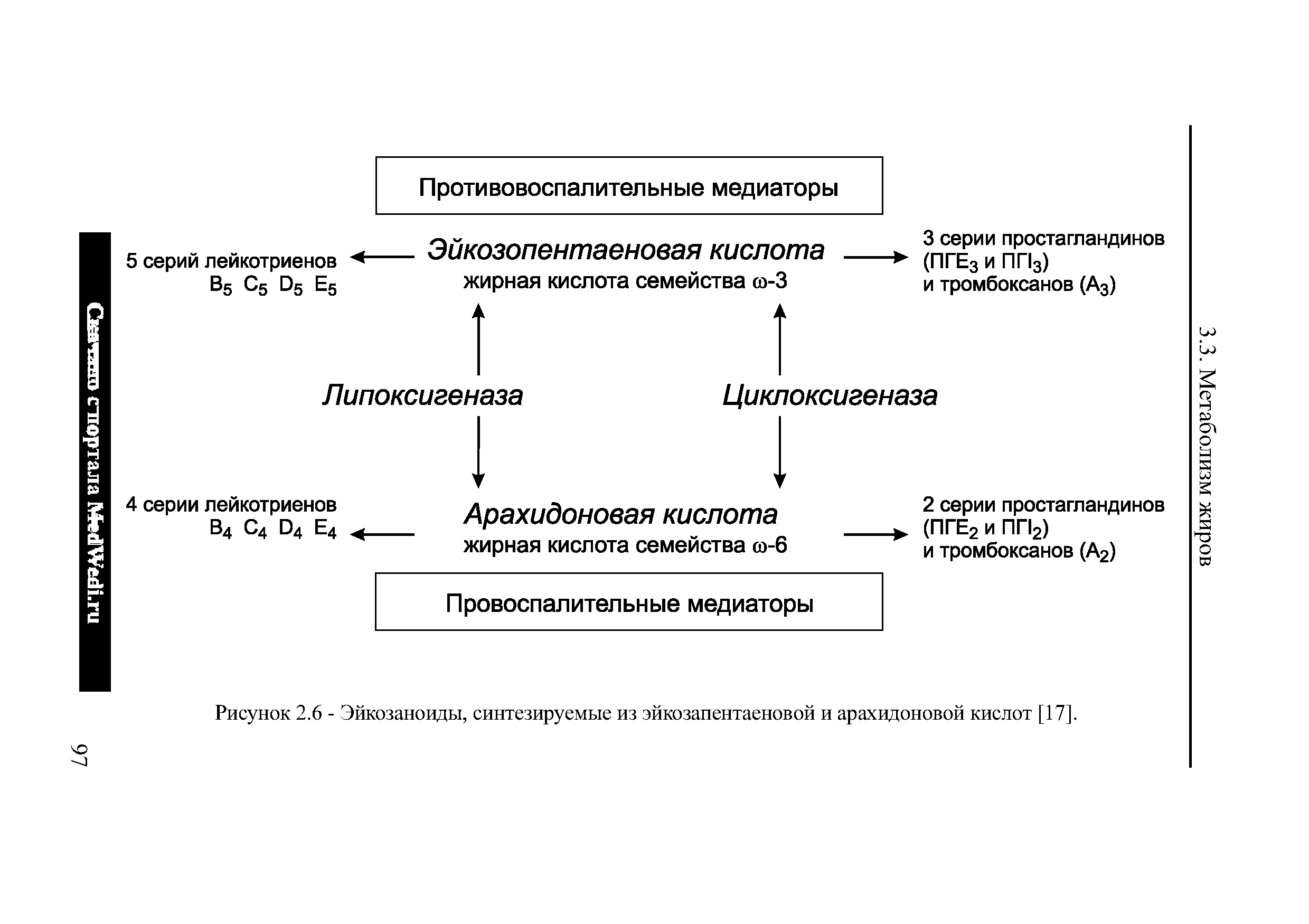 Каскад арахидоновой кислоты схема