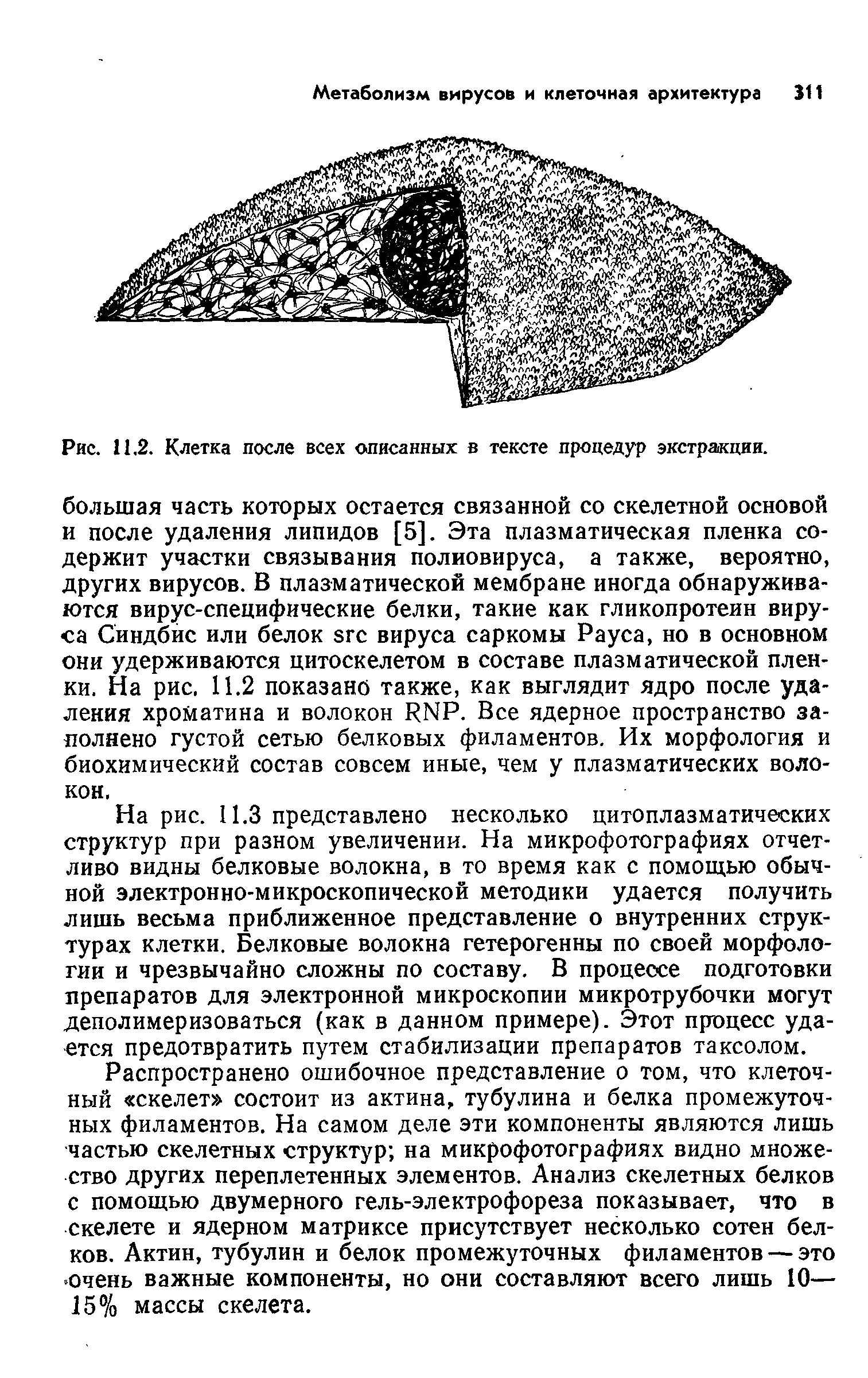 Рис. 11.2. Клетка после всех описанных в тексте процедур экстракции.