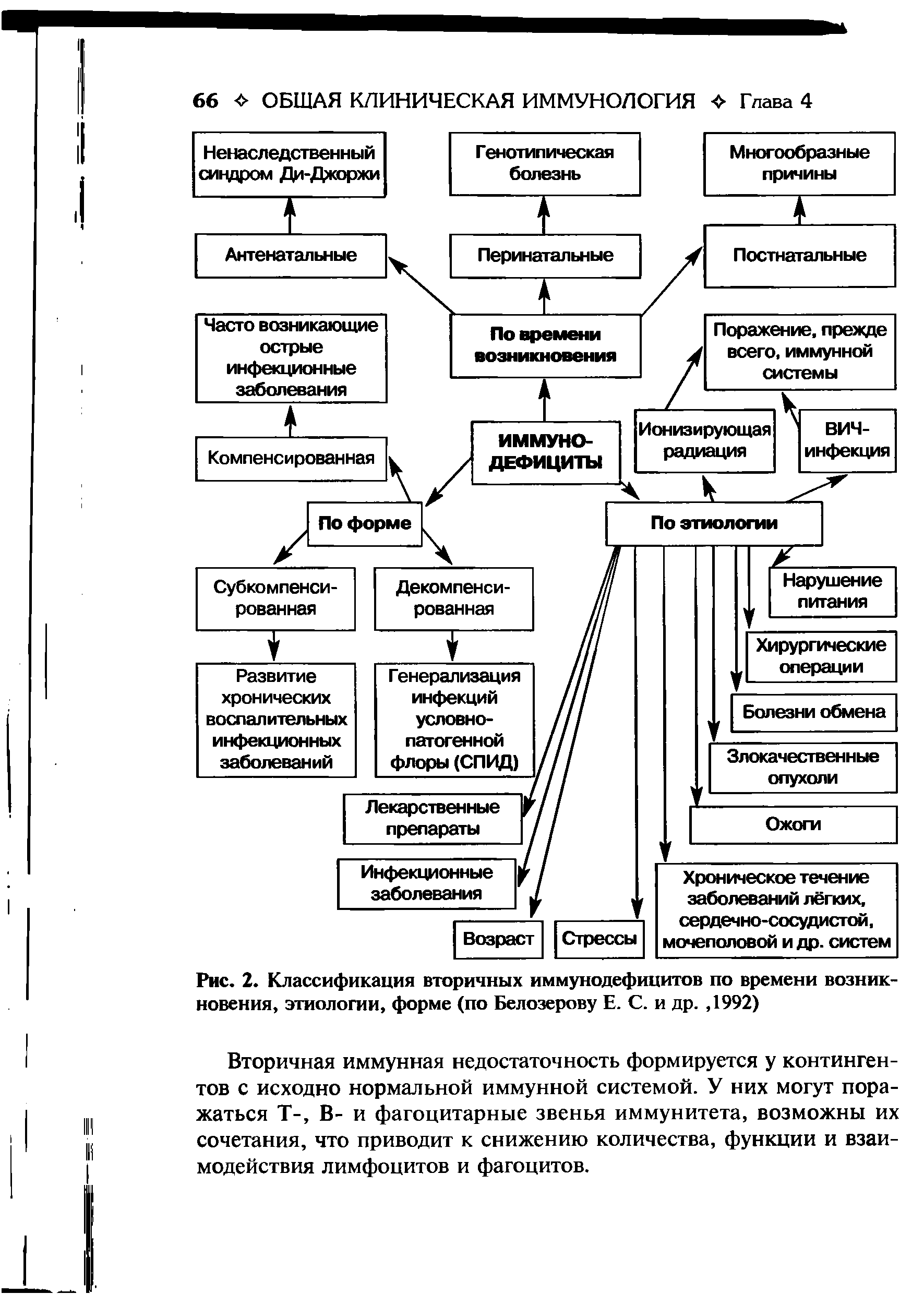 Рис. 2. Классификация вторичных иммунодефицитов по времени возникновения, этиологии, форме (по Белозерову Е. С. и др., 1992)...