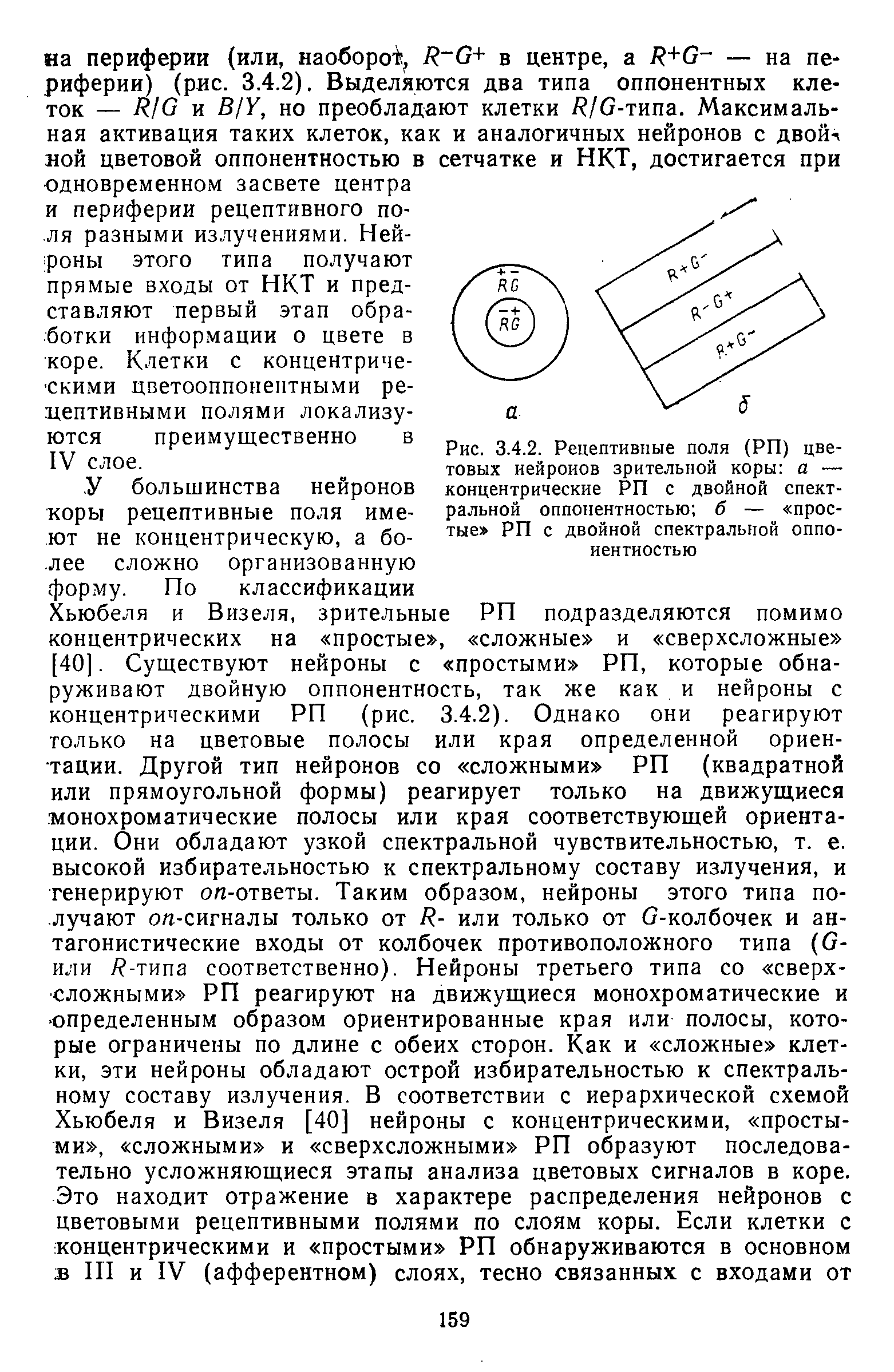 Рис. 3.4.2. Рецептивные поля (РП) товых иейроиов зрительной коры концентрические РП с двойной спектральной тые РП...