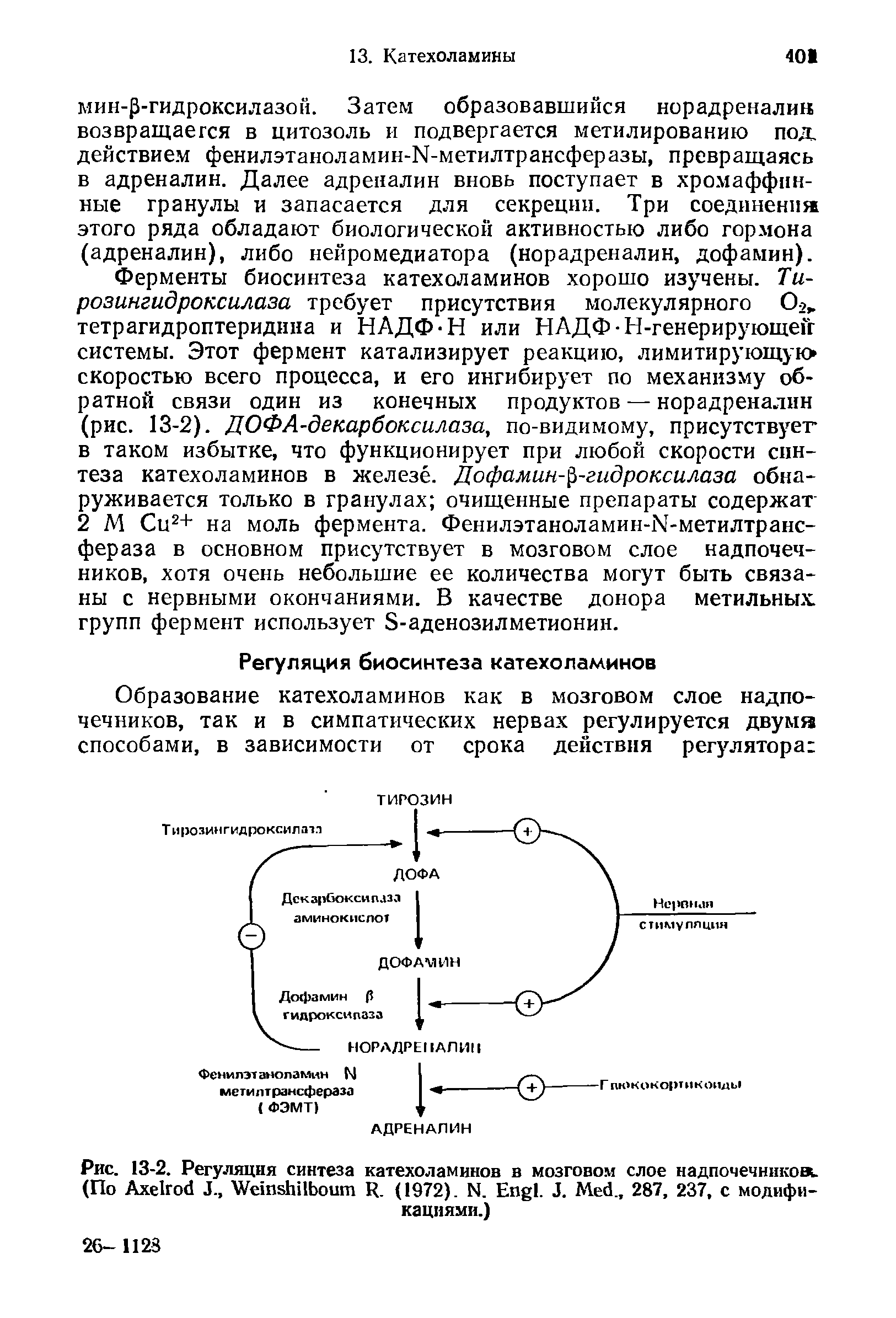 Рис. 13-2. Регуляция синтеза катехоламинов в мозговом слое надпочечников. (По A J., W R. (1972). N. E . J. M ., 287, 237, с модификациями.)...