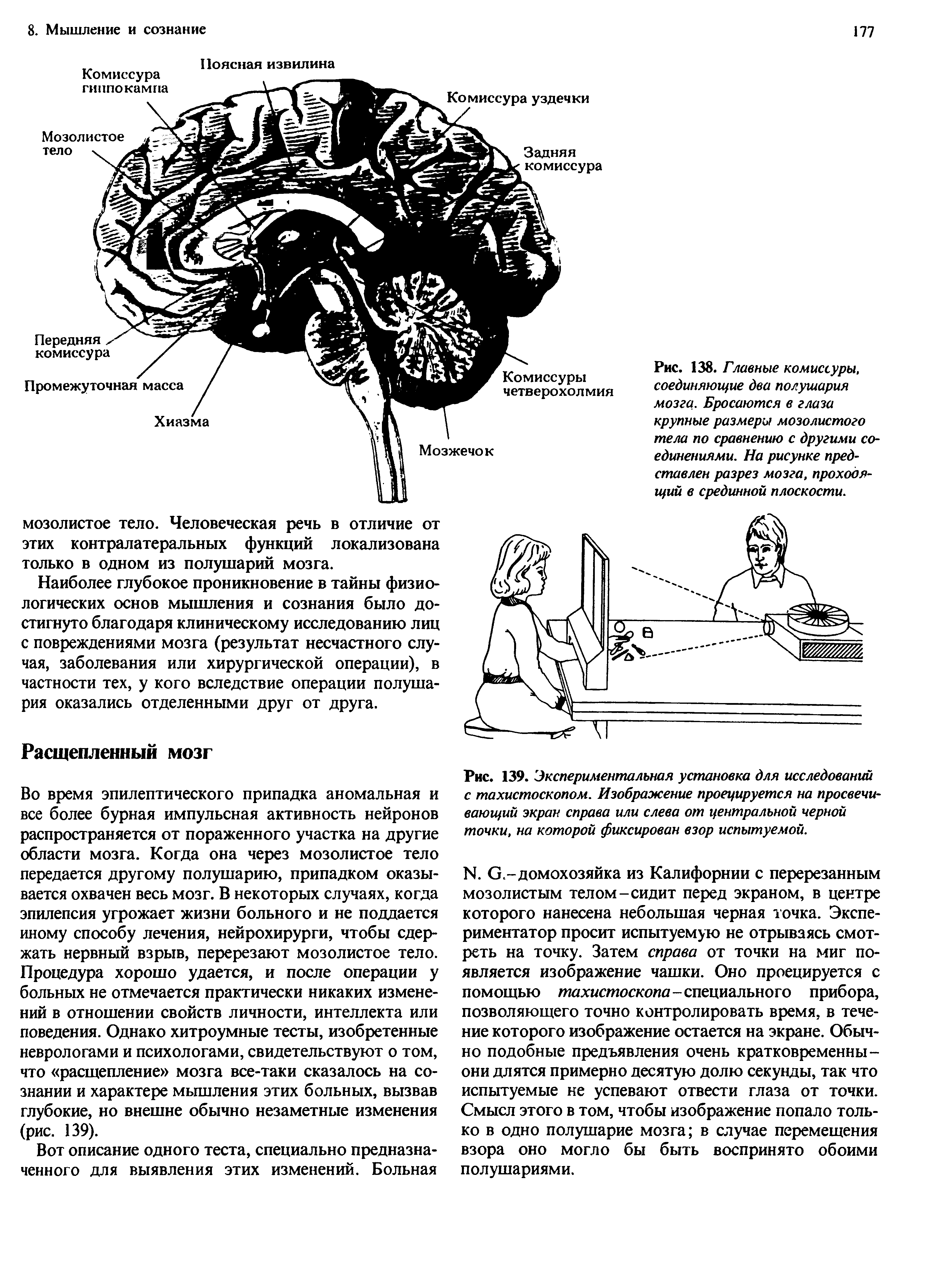 Рис. 139. Экспериментальная установка для исследований с тахистоскопом. Изображение проецируется на просвечивающий экран справа или слева от центральной черной точки, на которой фиксирован взор испытуемой.