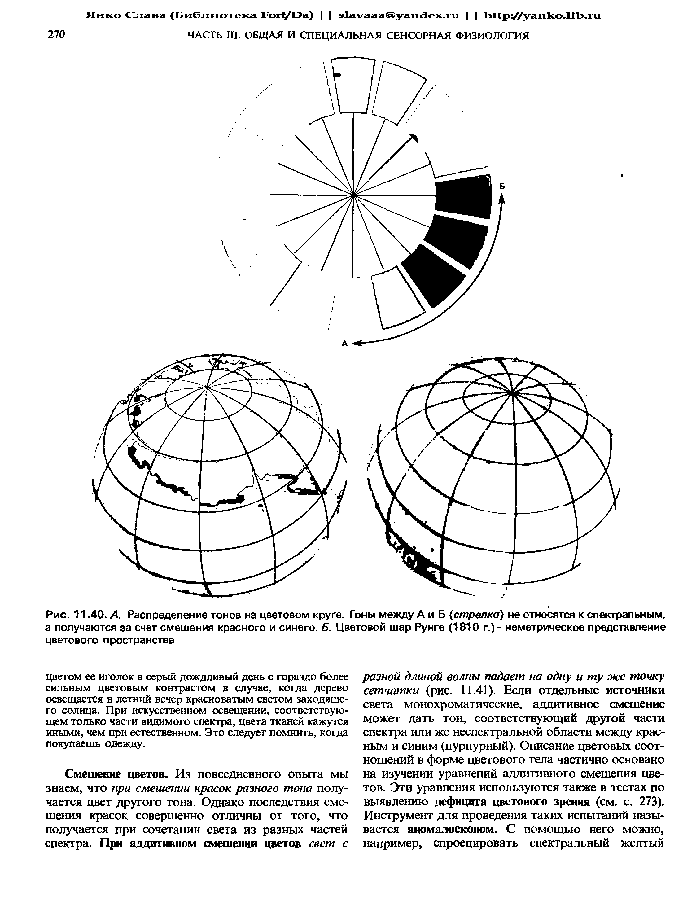 Рис. 11.40. А. Распределение тонов на цветовом круге. Тоны между А и Б (стрелка) не относятся к спектральным, а получаются за счет смешения красного и синего. Б. Цветовой шар Рунге (1810 г.) - неметрическое представление цветового пространства...
