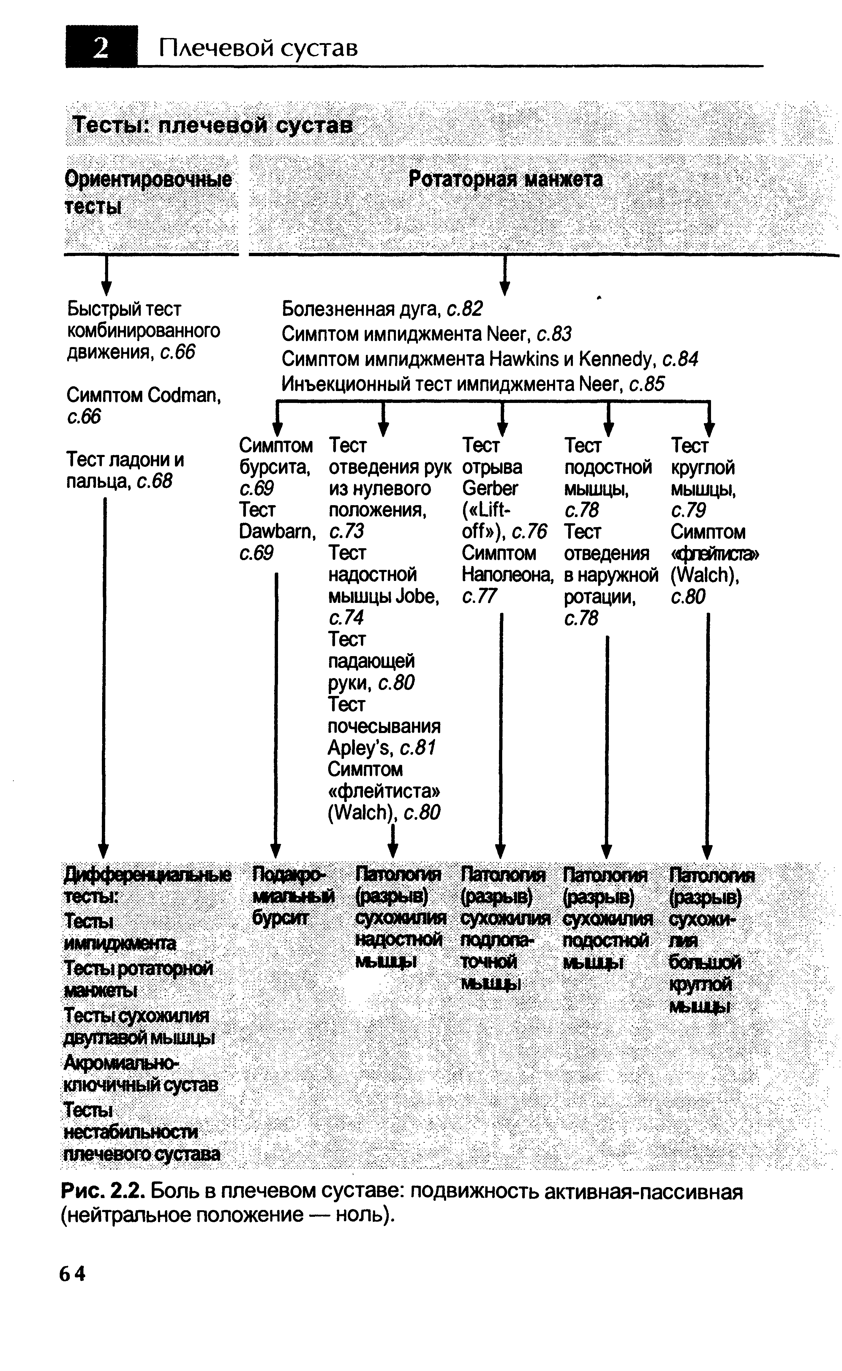 Рис. 2.2. Боль в плечевом суставе подвижность активная-пассивная (нейтральное положение — ноль).