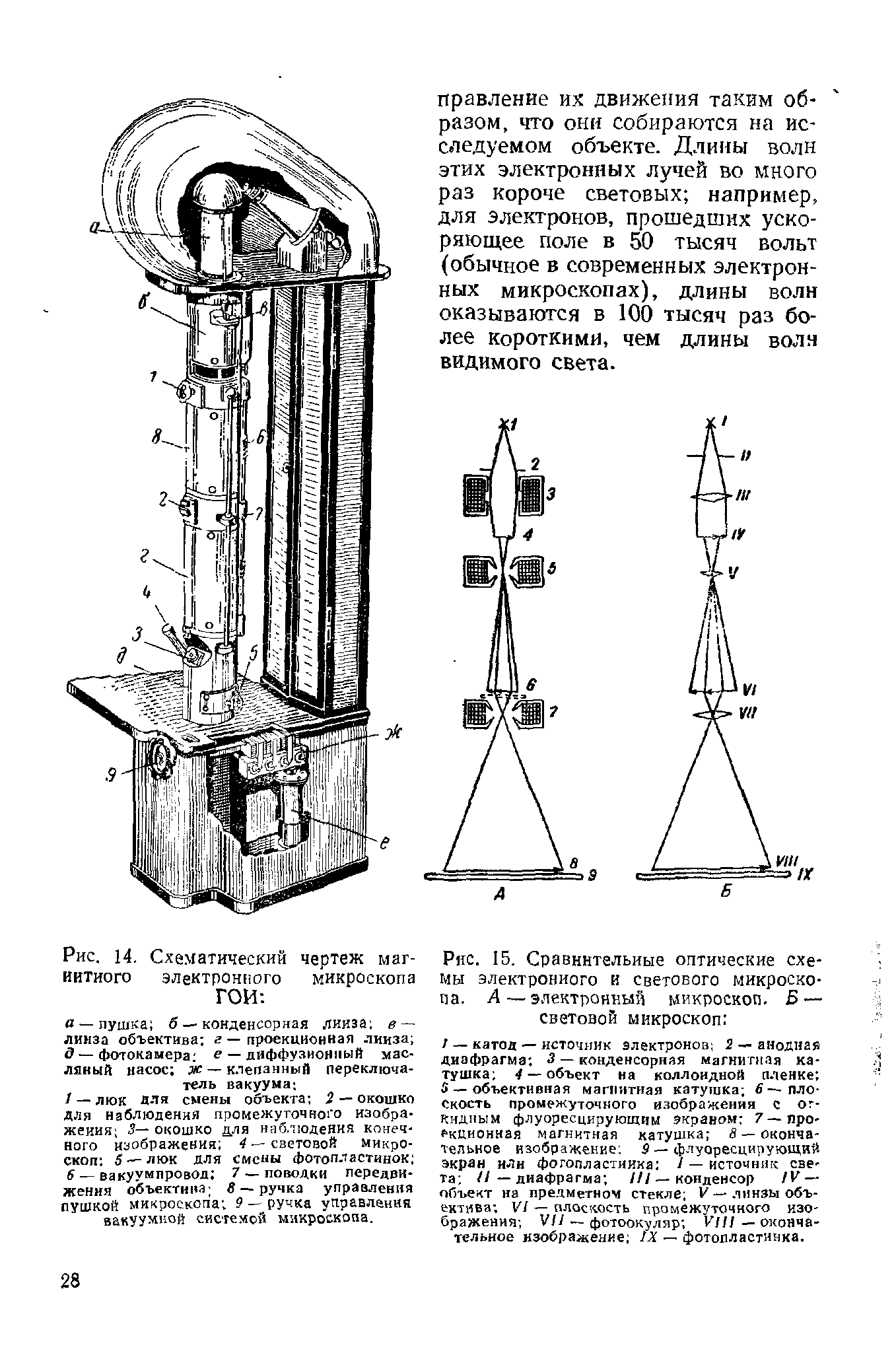 Рис. 15. Сравнительные оптические схемы электронного и светового микроскопа. А—электронный микроскоп. 5 — световой микроскоп ...