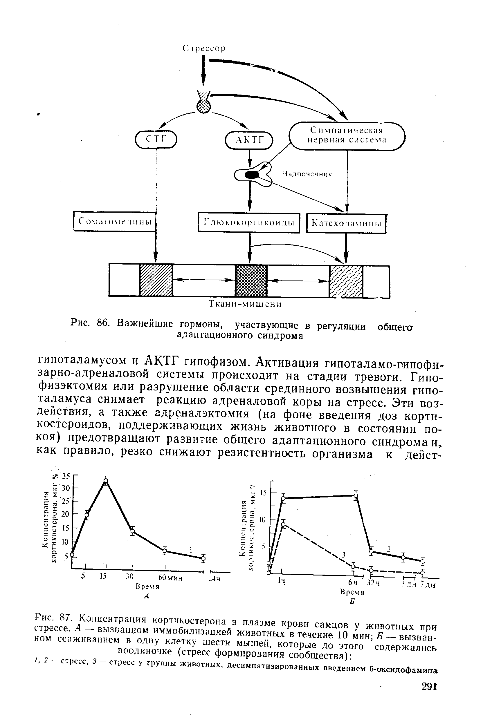 Рис. 87. Концентрация кортикостерона в плазме крови самцов у животных при стрессе. А —вызванном иммобилизацией животных в течение 10 мин 5 — вызванном ссаживанием в одну клетку шести мышей, которые до этого содержались поодиночке (стресс формирования сообщества) ...