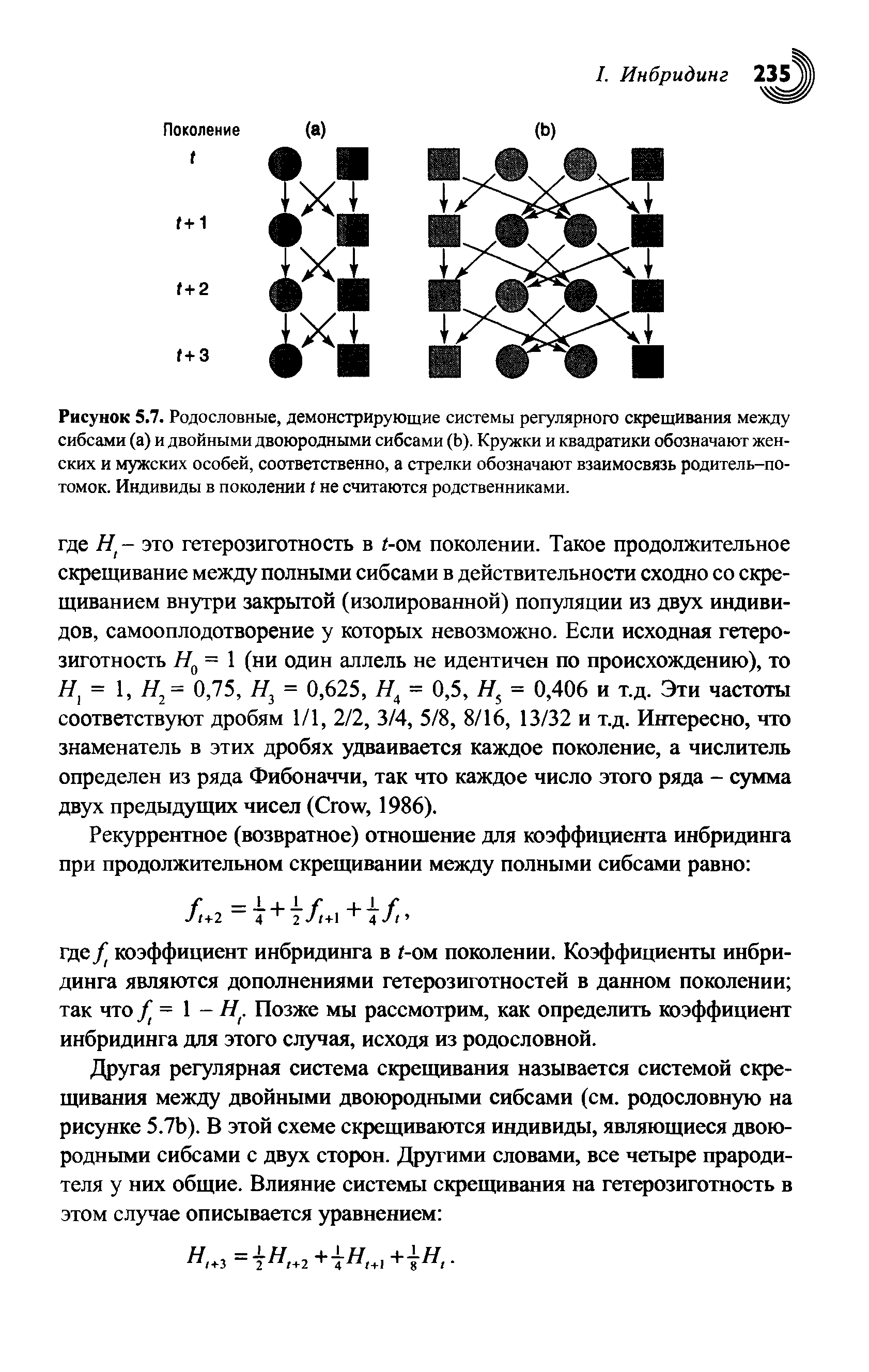 Рисунок 5.7. Родословные, демонстрирующие системы регулярного скрещивания между сибсами (а) и двойными двоюродными сибсами (Ь). Кружки и квадратики обозначают женских и мужских особей, соответственно, а стрелки обозначают взаимосвязь родитель-потомок. Индивиды в поколении не считаются родственниками.