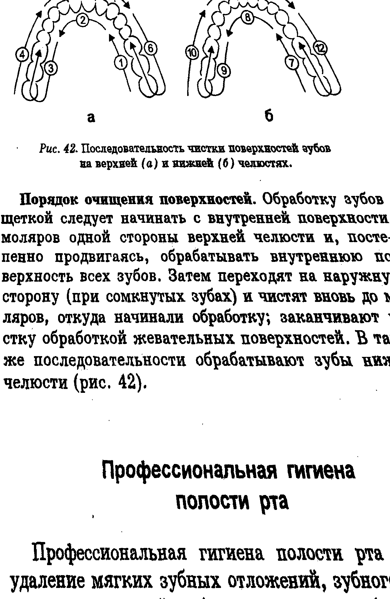 Рис. 42. Последовательность чистки поверхностей аубов на верхней (а) н нижней (б) челюстях.