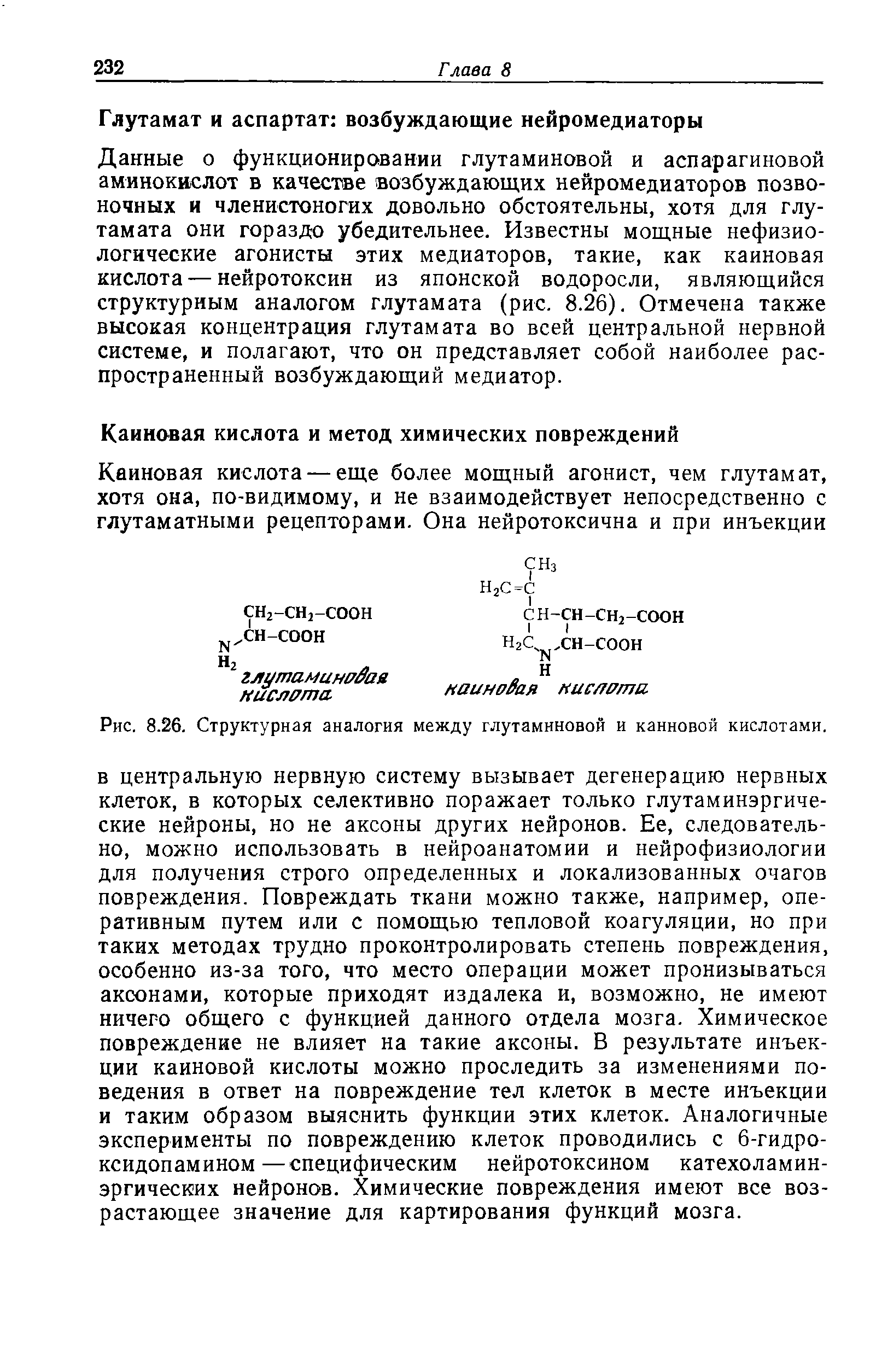 Рис. 8.26. Структурная аналогия между глутаминовой и каиновой кислотами.