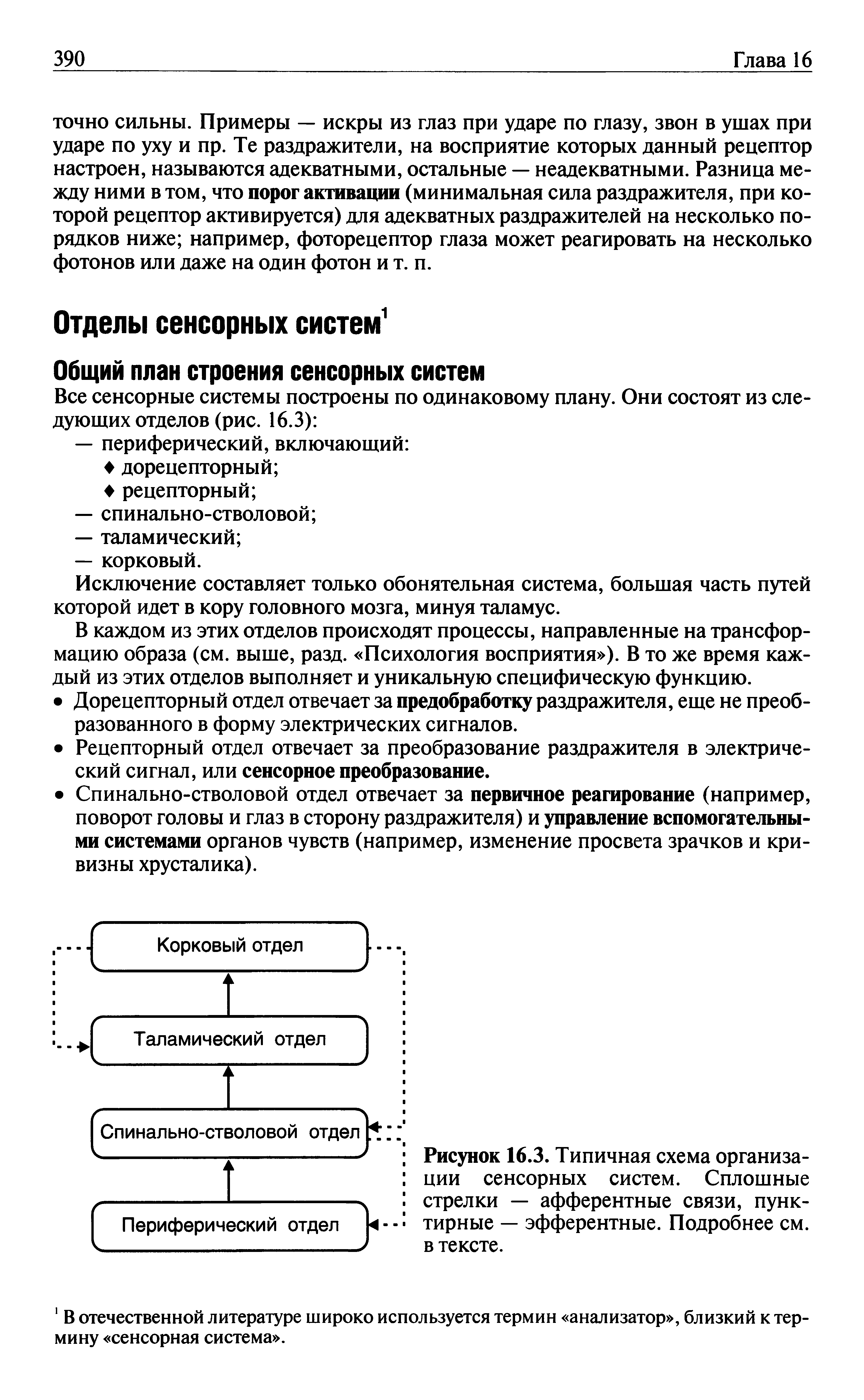 Рисунок 16.3. Типичная схема организации сенсорных систем. Сплошные стрелки — афферентные связи, пунктирные — эфферентные. Подробнее см. в тексте.