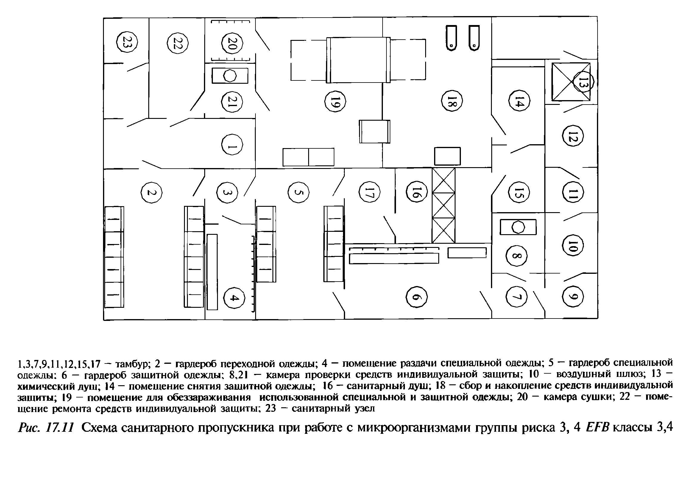 Рис. 17.11 Схема санитарного пропускника при работе с микроорганизмами группы риска 3, 4 ЕРВ классы 3,4...