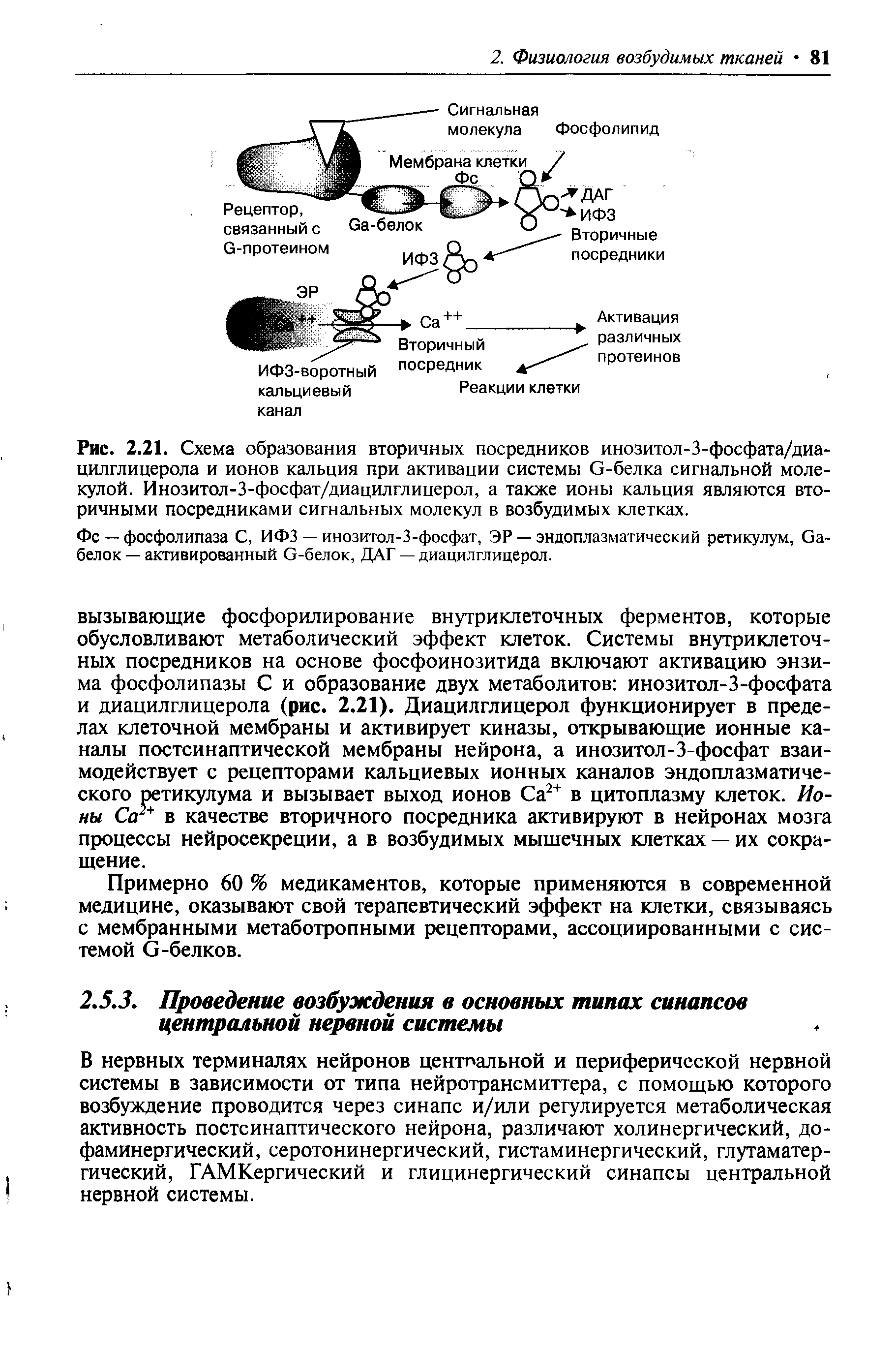 Рис. 2.21. Схема образования вторичных посредников инозитол-3-фосфата/диа-цилглицерола и ионов кальция при активации системы С-белка сигнальной молекулой. Инозитол-З-фосфат/диацилглицерол, а также ионы кальция являются вторичными посредниками сигнальных молекул в возбудимых клетках.