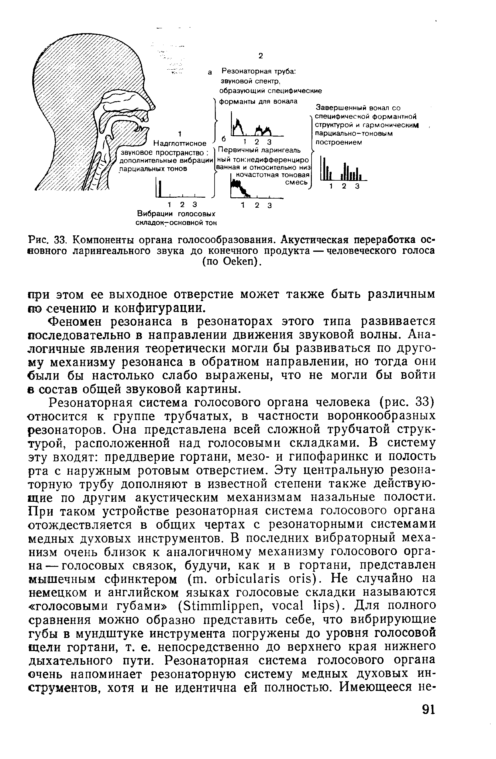 Рис. 33. Компоненты органа голосообразования. Акустическая переработка основного ларингеального звука до конечного продукта — человеческого голоса (по Оекеп).