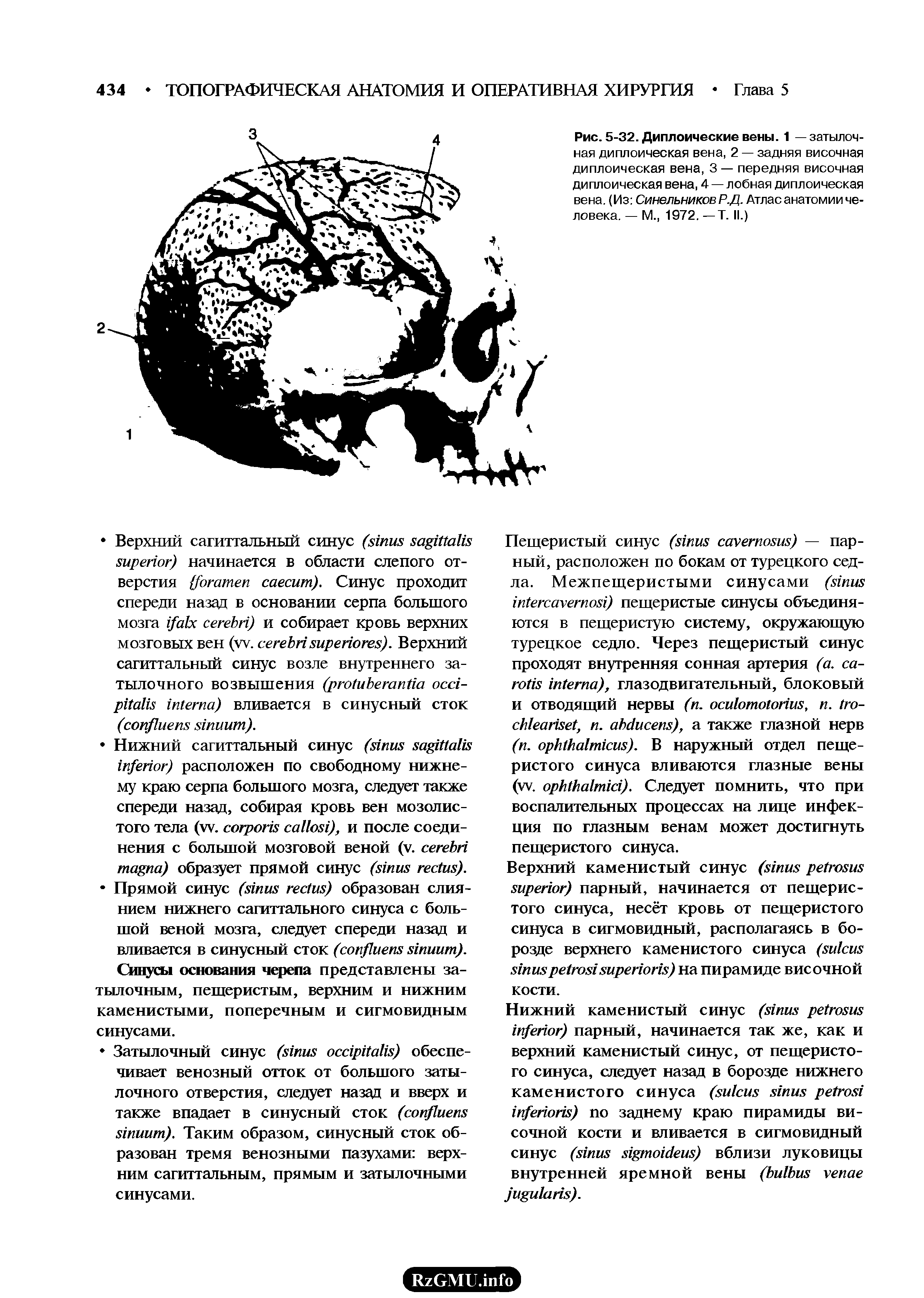 Рис. 5-32. Диплоические вены. 1 — затылочная диплоическая вена, 2 — задняя височная диплоическая вена, 3 — передняя височная диплоическая вена, 4 — лобная диплоическая вена. (Из Синельников Р.Д. Атлас анатомии человека. — М., 1972. —Т. II.)...