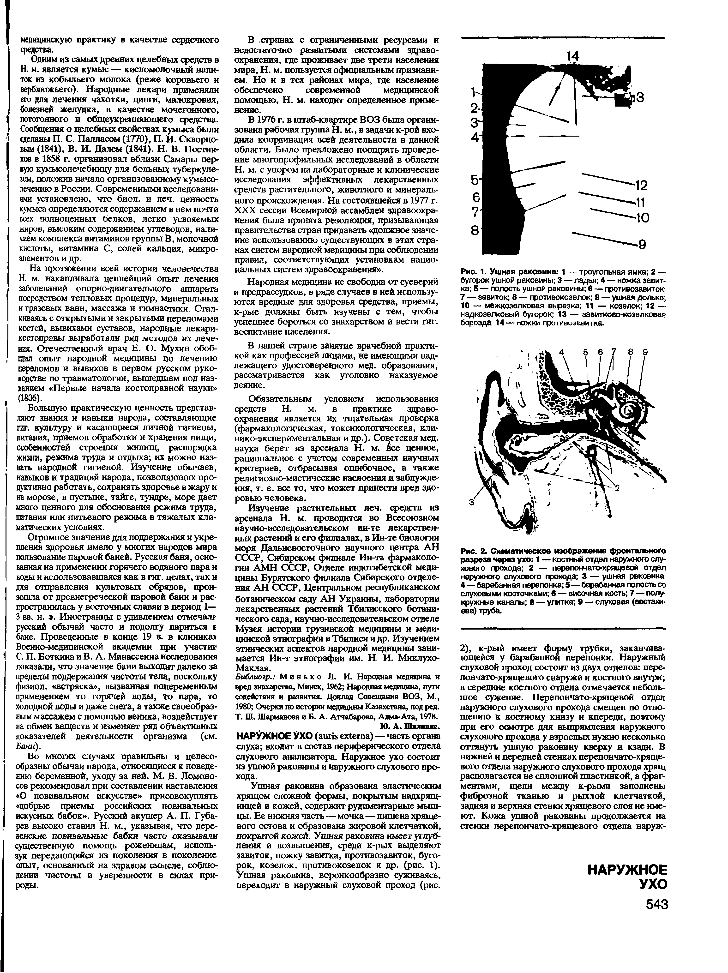 Рис. 1. Ушная раковина 1 — треугольная ямка 2 — бугорок ушной раковины 3 — ладья 4 — ножка завитка 5 — полость ушной раковины 6 — противозавиток 7 — завиток 8 — противокозелок 9 — ушная долькв 10 — межкозелковая вырезка 11 — козелок 12 — надкозелковый бугорок 13 — завитково-козелковая борозда 14 — ножки противозавитка.