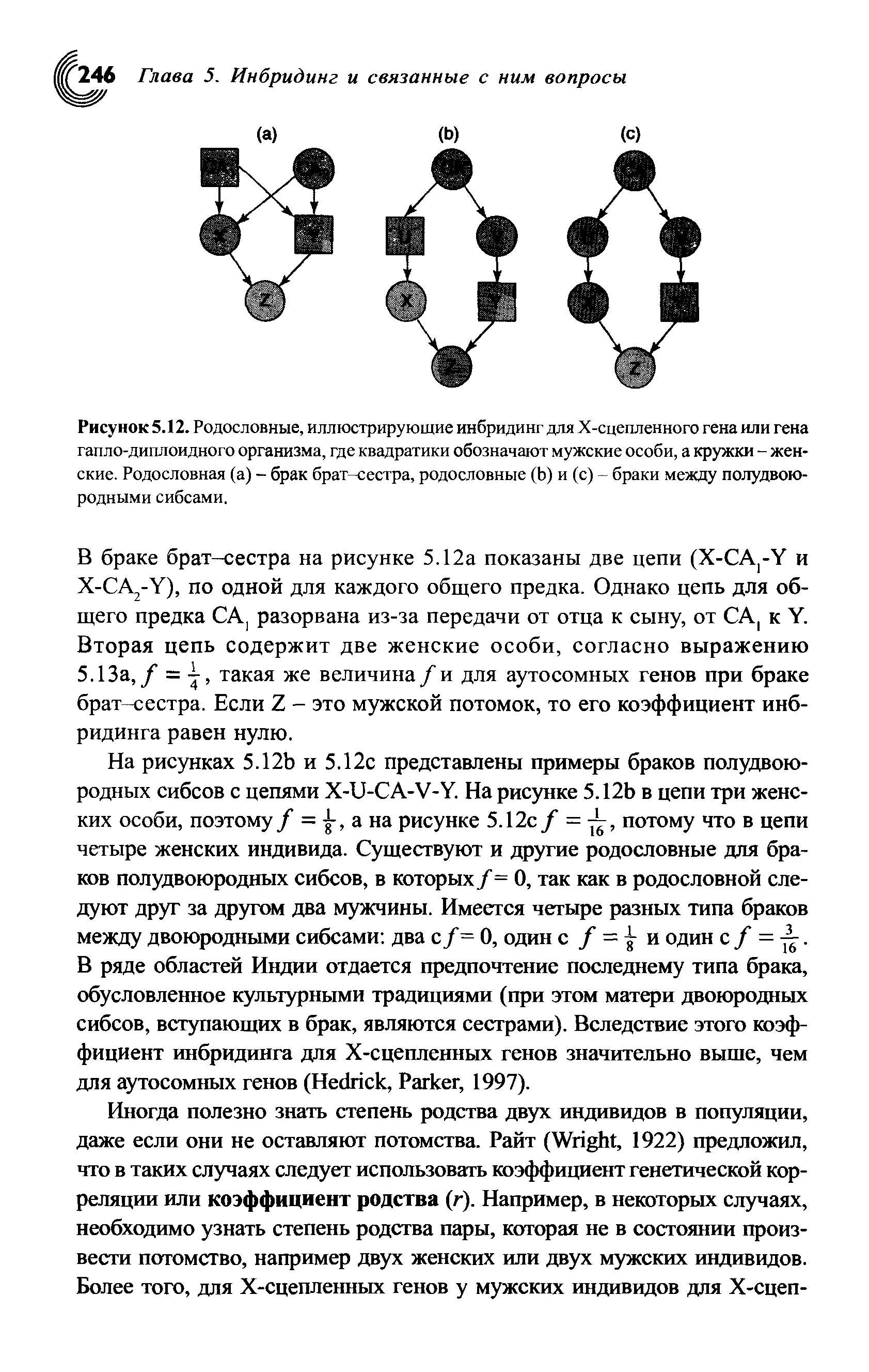 Рисунок 5.12. Родословные, иллюстрирующие инбридинг для Х-сцепленного гена или гена гапло-диплоидного организма, где квадратики обозначают мужские особи, а кружки - женские. Родословная (а) - брак брат-сестра, родословные (Ь) и (с) - браки между полудвою-родными сибсами.