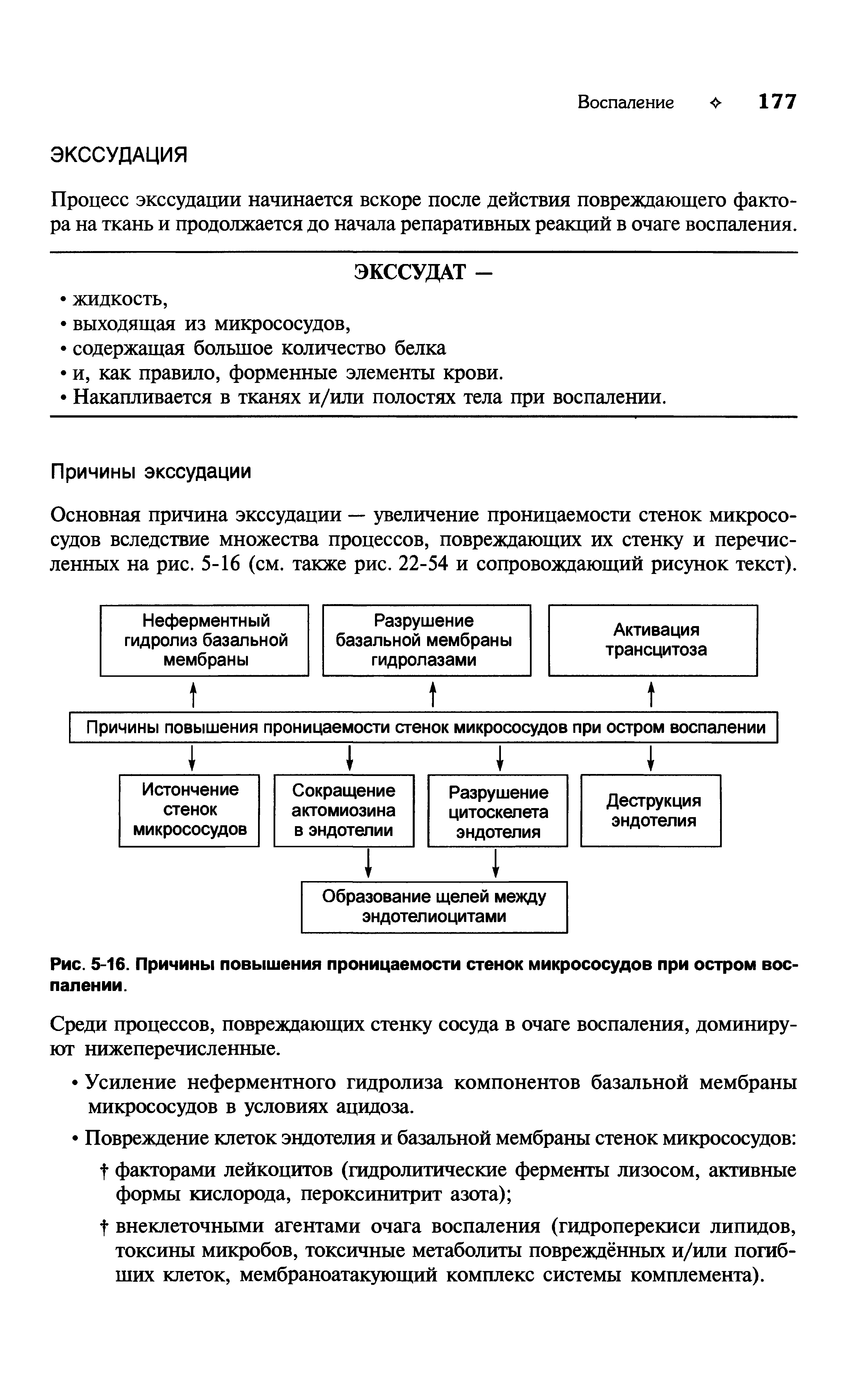 Рис. 5-16. Причины повышения проницаемости стенок микрососудов при остром воспалении.