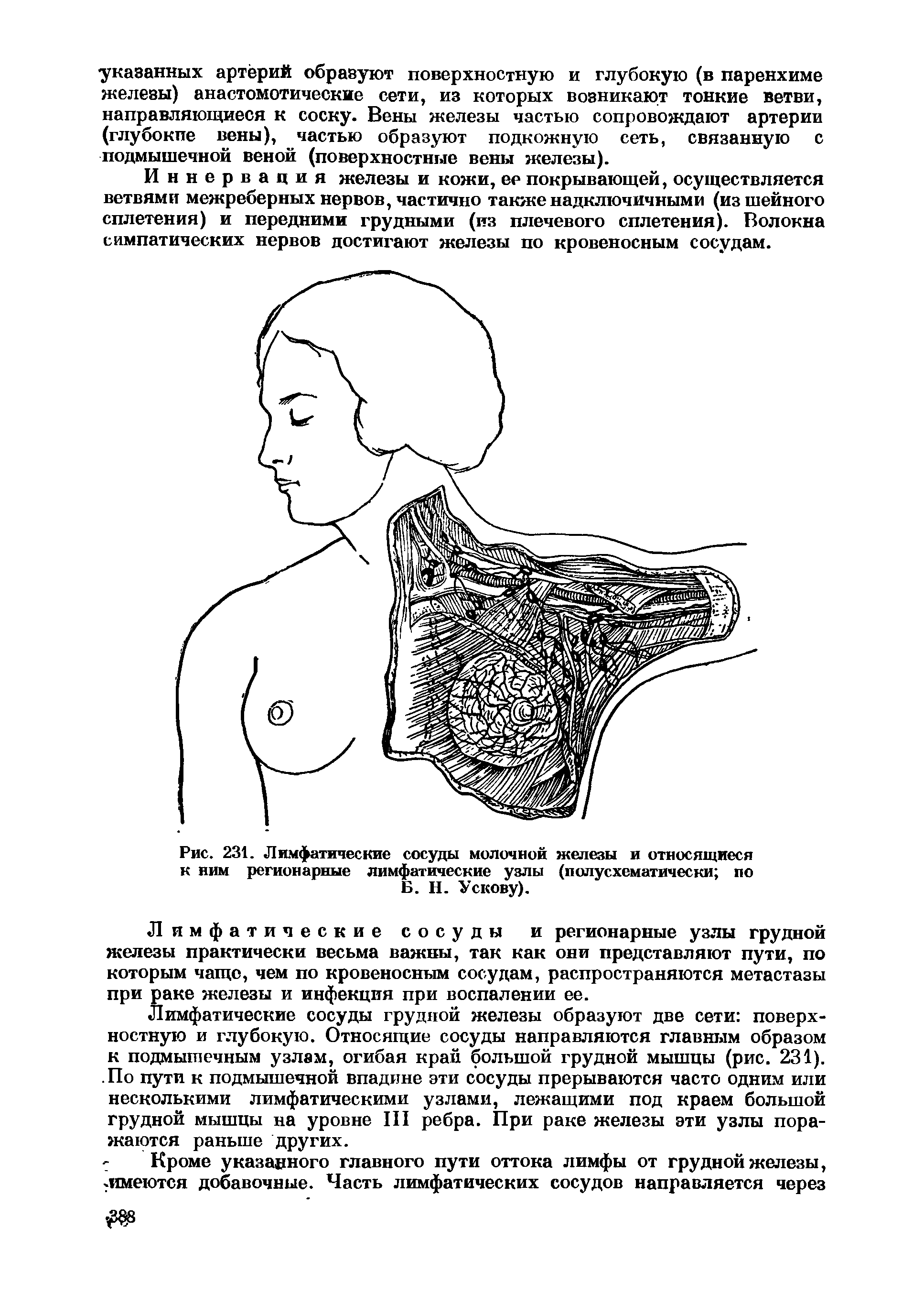 Рис. 231. Лимфатические сосуды молочной железы и относящиеся к ним регионарные лимфатические узлы (полусхематически по Б. Н. Ускову).