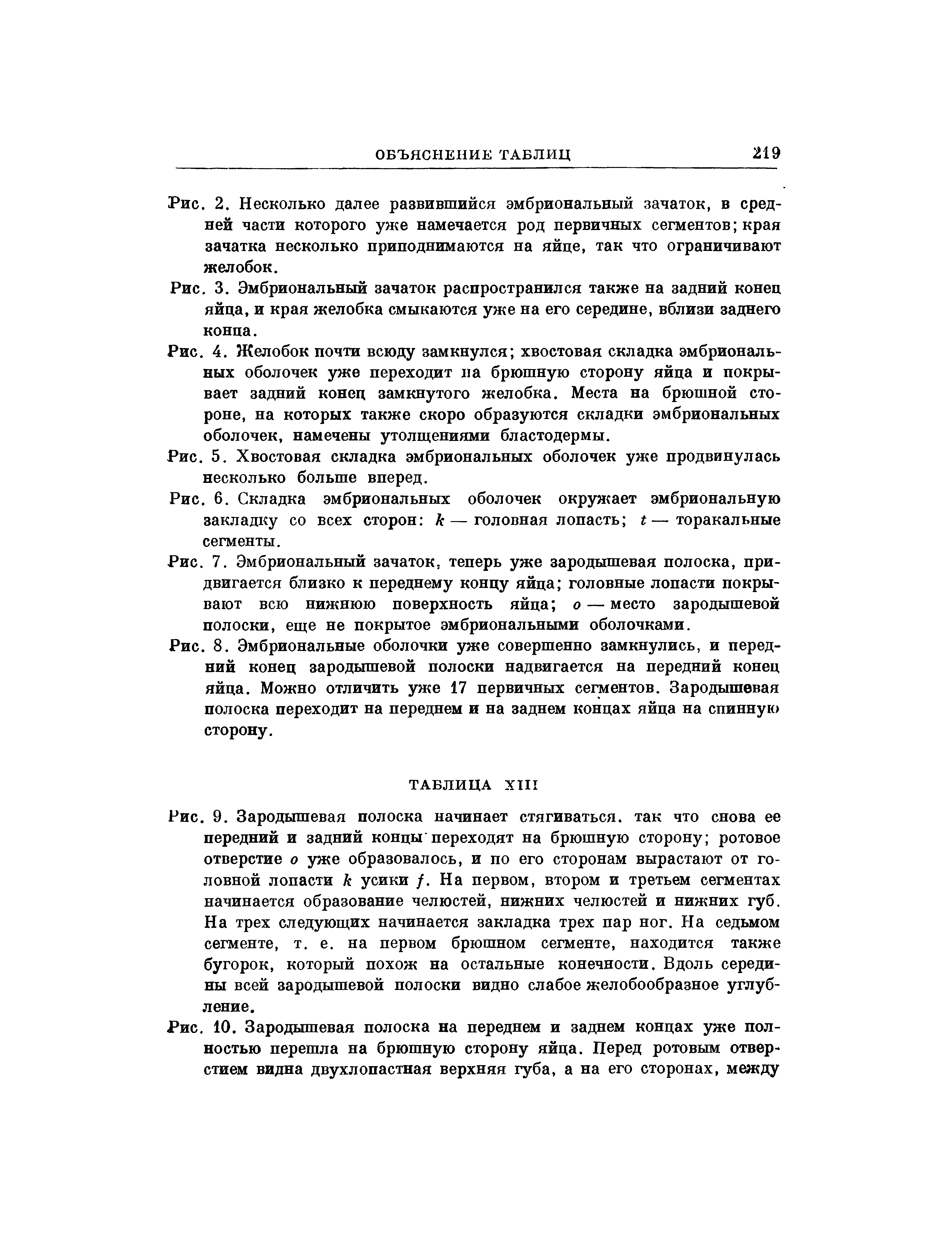 Рис. 6. Складка эмбриональных оболочек окружает эмбриональную закладку со всех сторон к— головная лопасть г—торакальные сегменты.